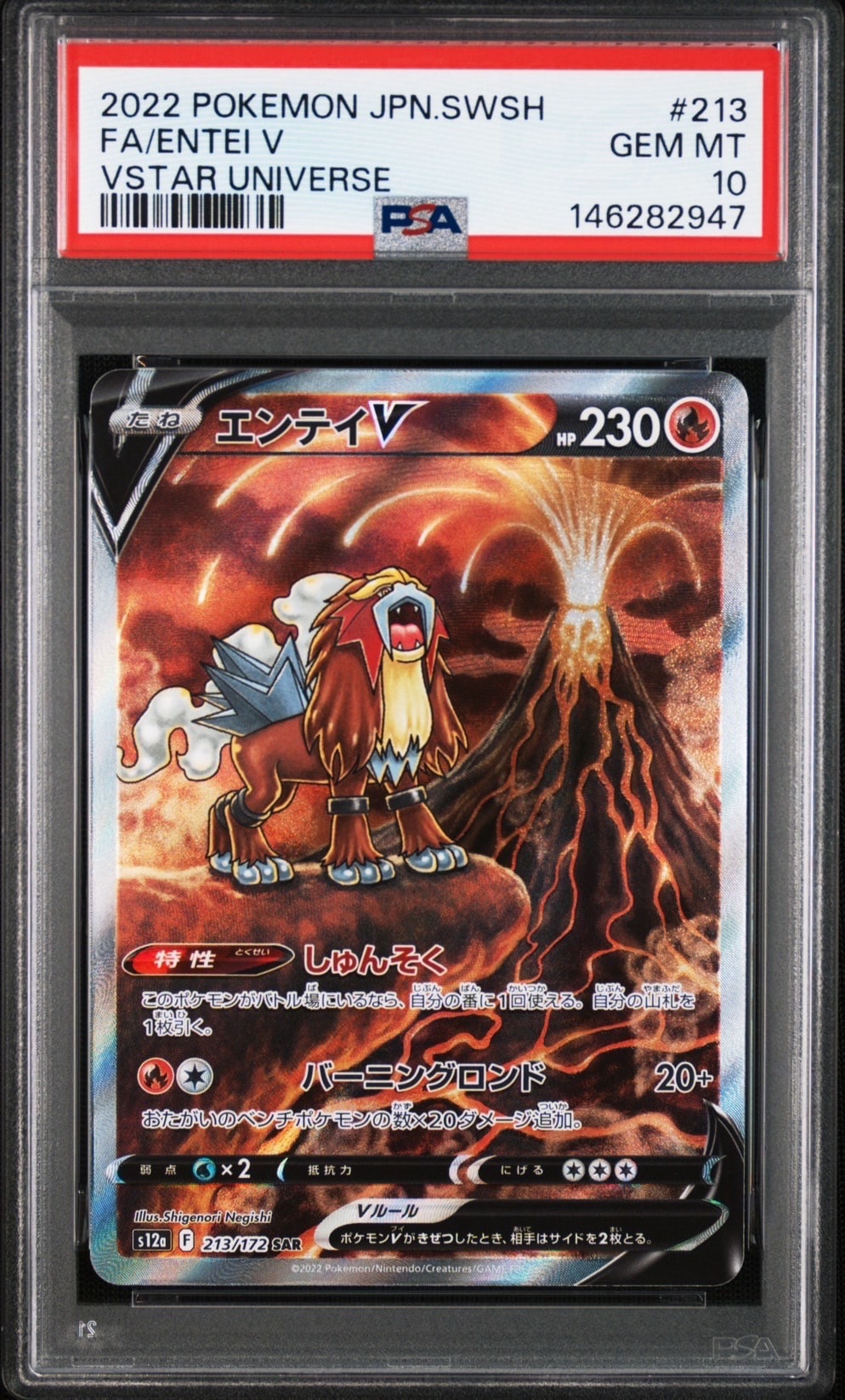 エンテイV SAR[s12a 213/172](ハイクラスパック「VSTARユニバース」)の