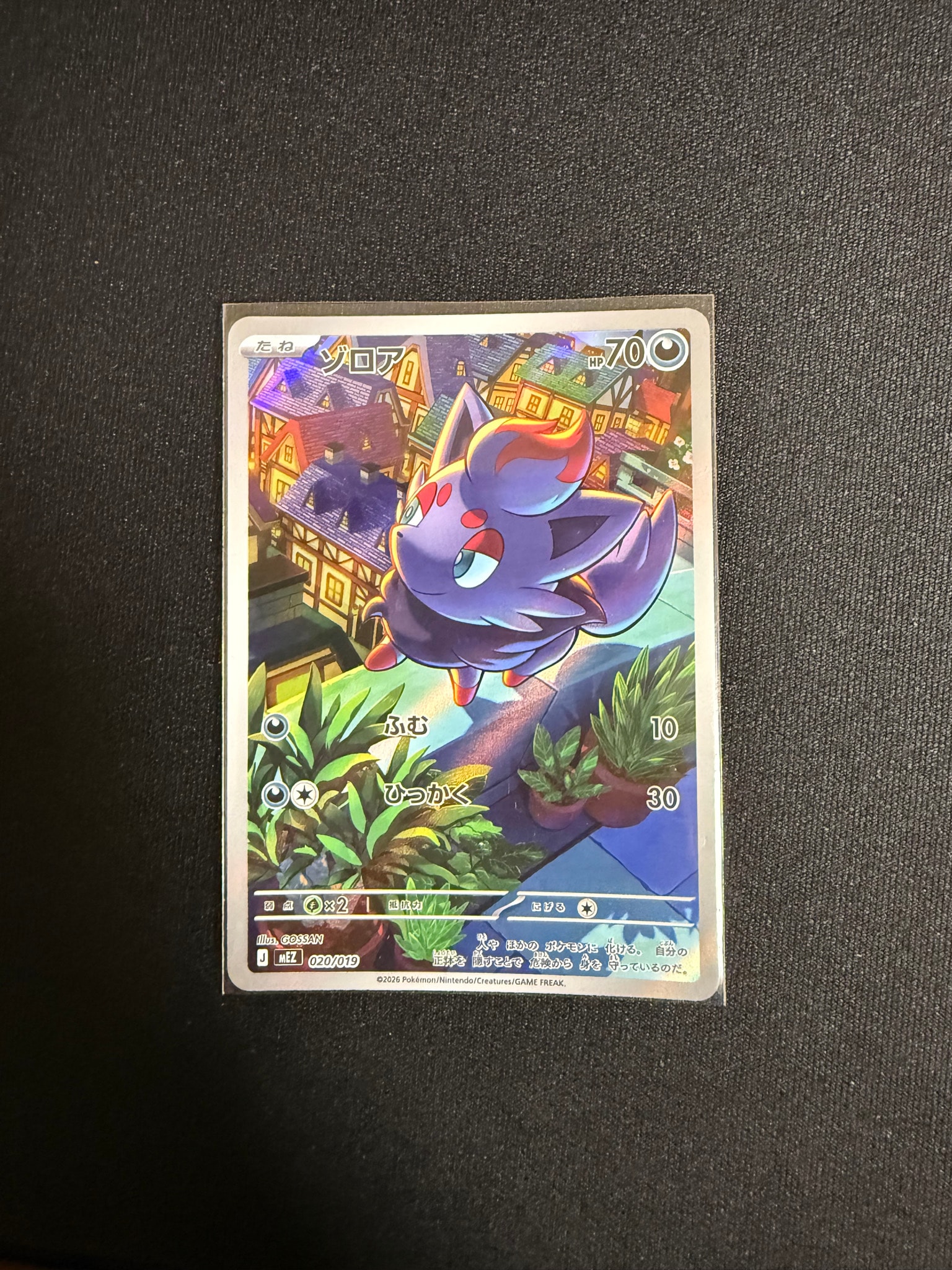 ゾロア AR仕様 [MEZ 020/019](スターターセットex「ゾロア&ゾロアーク