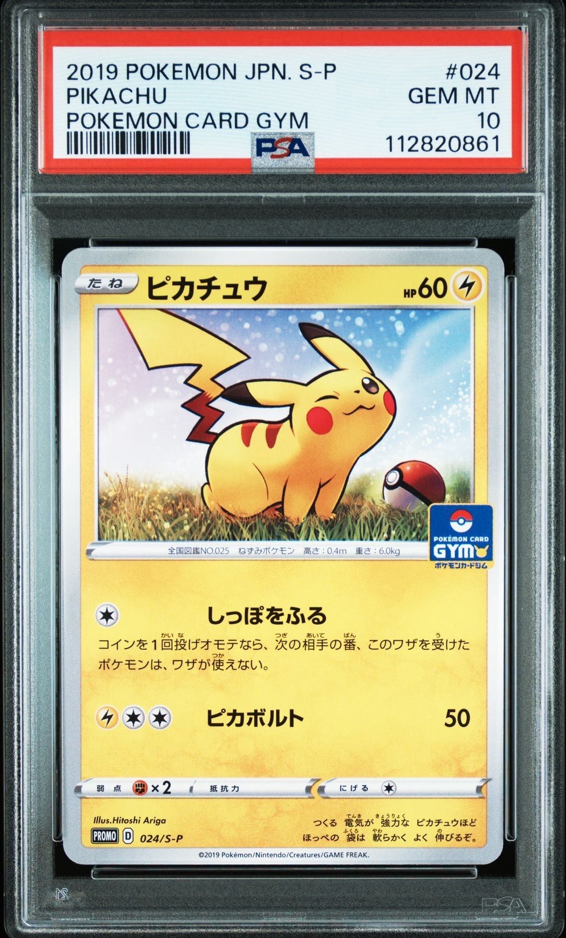 ピカチュウ: プロモ P [S-P 024](ポケモンカードゲーム ソード&シールド 「プロモカードパック 第1弾」)