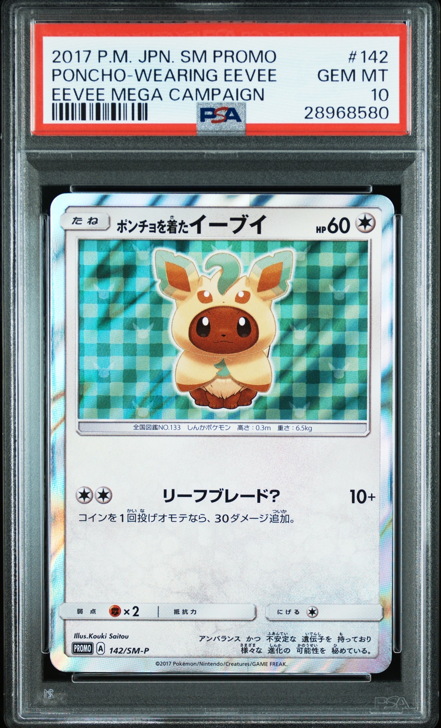 ポンチョを着たイーブイ: プロモ[SM-P 142](プロモーションカード「SM