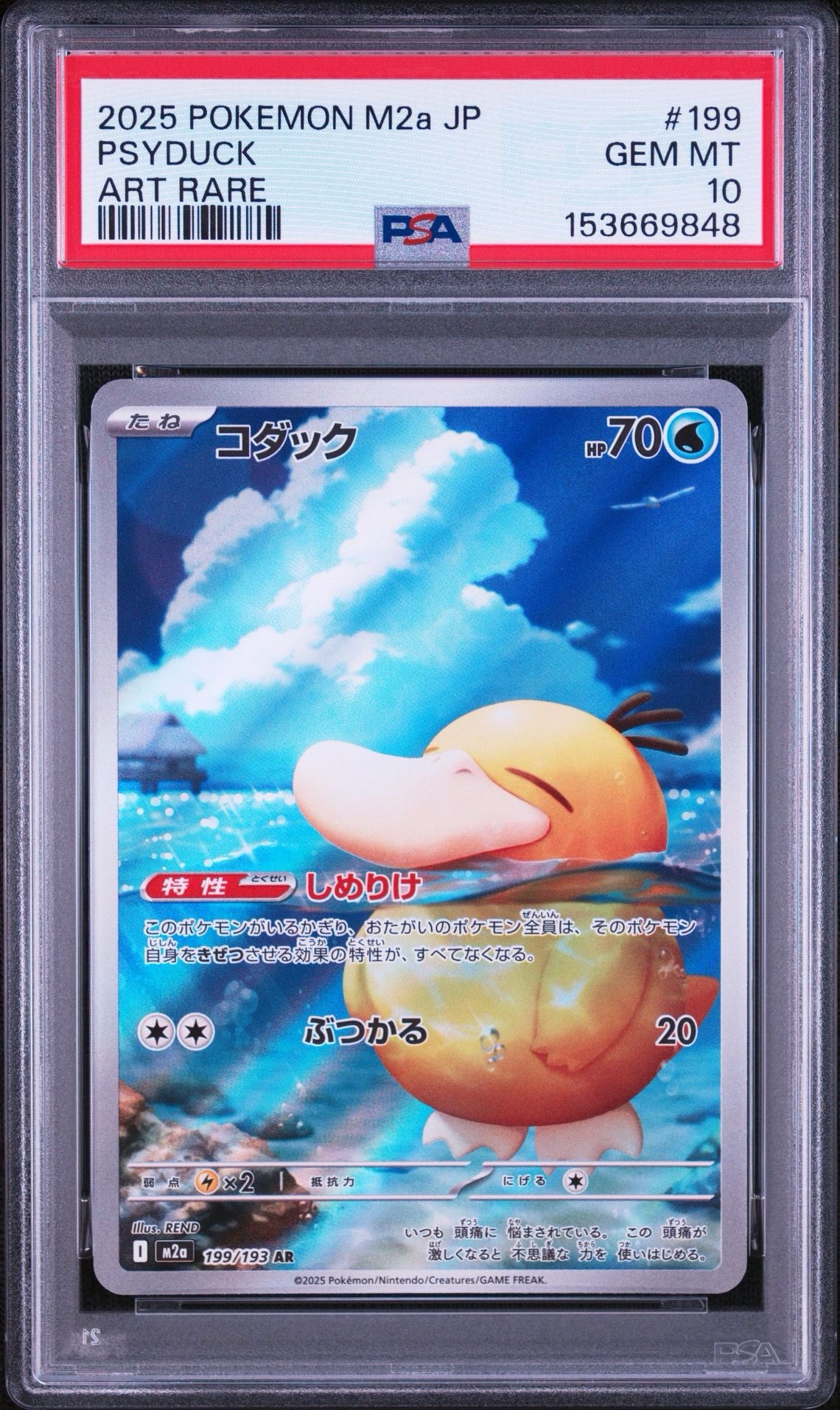 コダック AR [M2a 199/193](ハイクラスパック「MEGAドリームex」)通販
