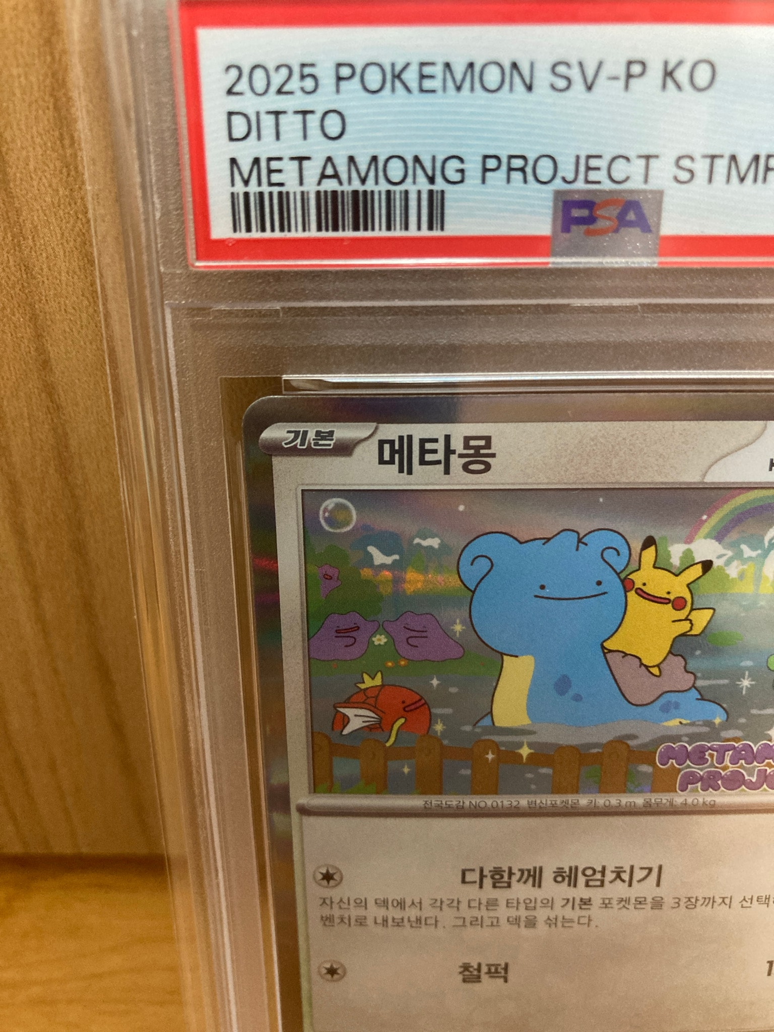 PSA10】メタモン P [SV-P 173]【韓国語版】(ポケモンタウン2025 with