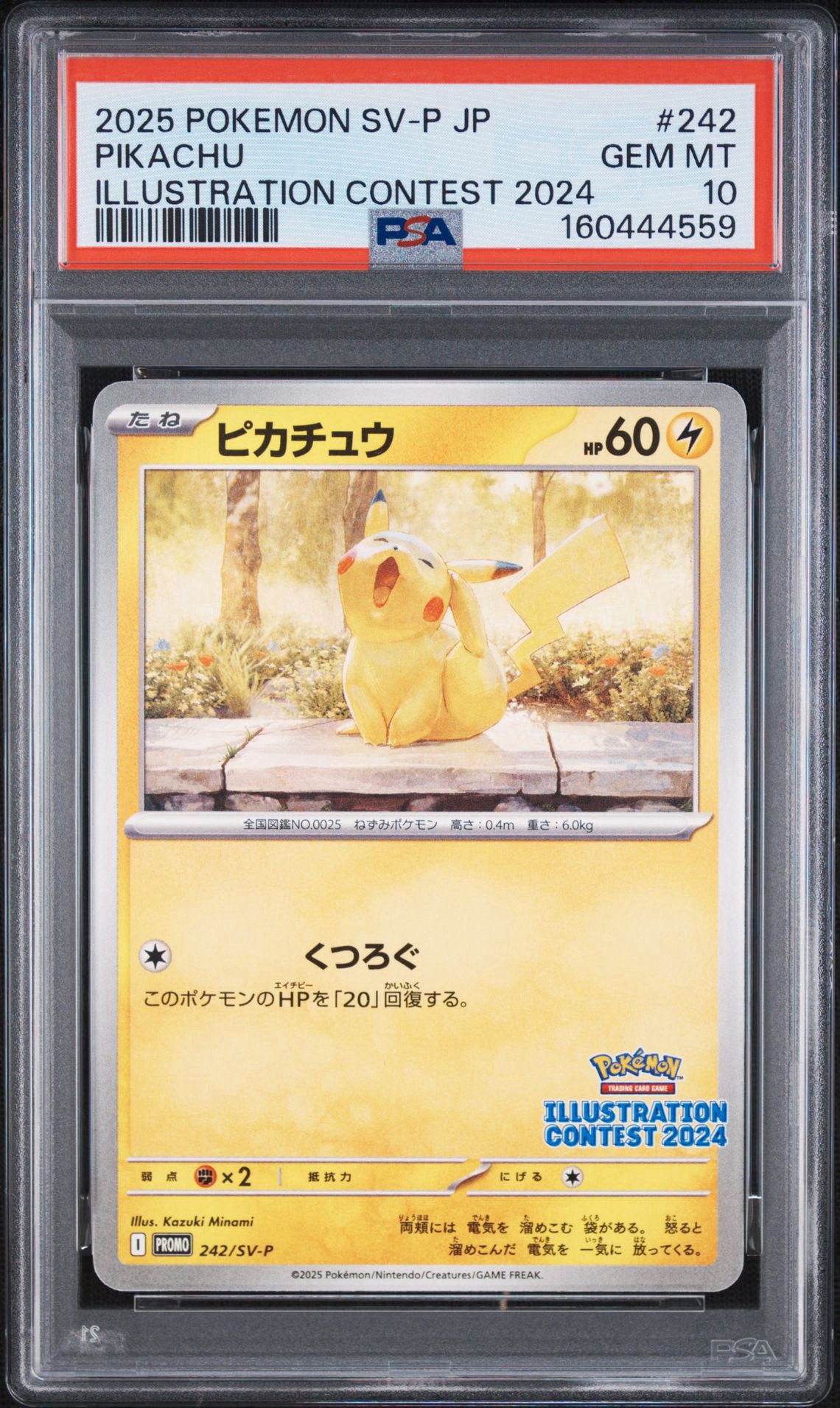ピカチュウ [SV-P 242](プロモカードパック「イラストレーション