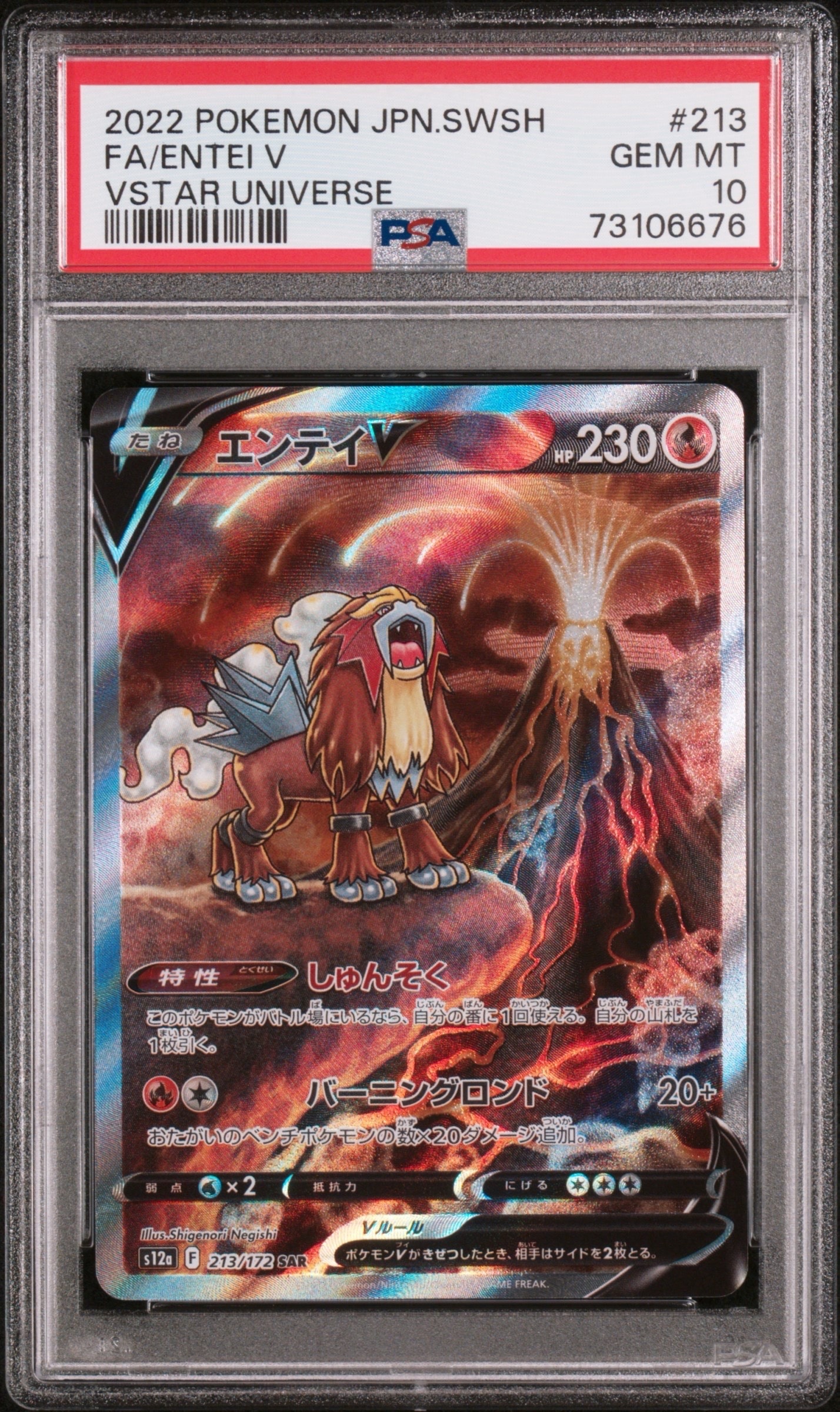 エンテイV SAR[s12a 213/172](ハイクラスパック「VSTARユニバース」)