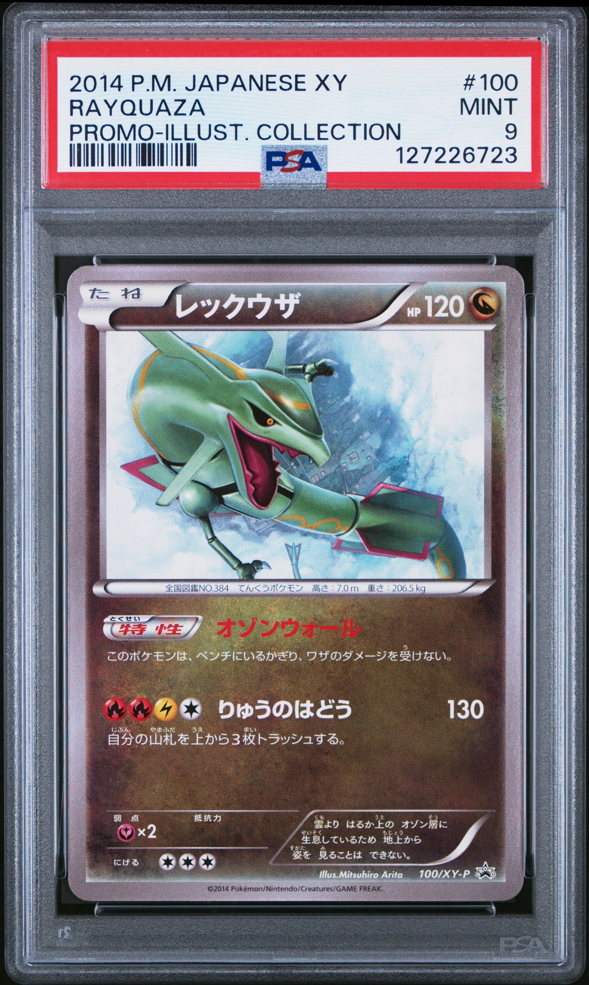 レックウザ イラストコレクション: プロモ[XY-P 100/XY-P](プロモーションカード「XY-P」)