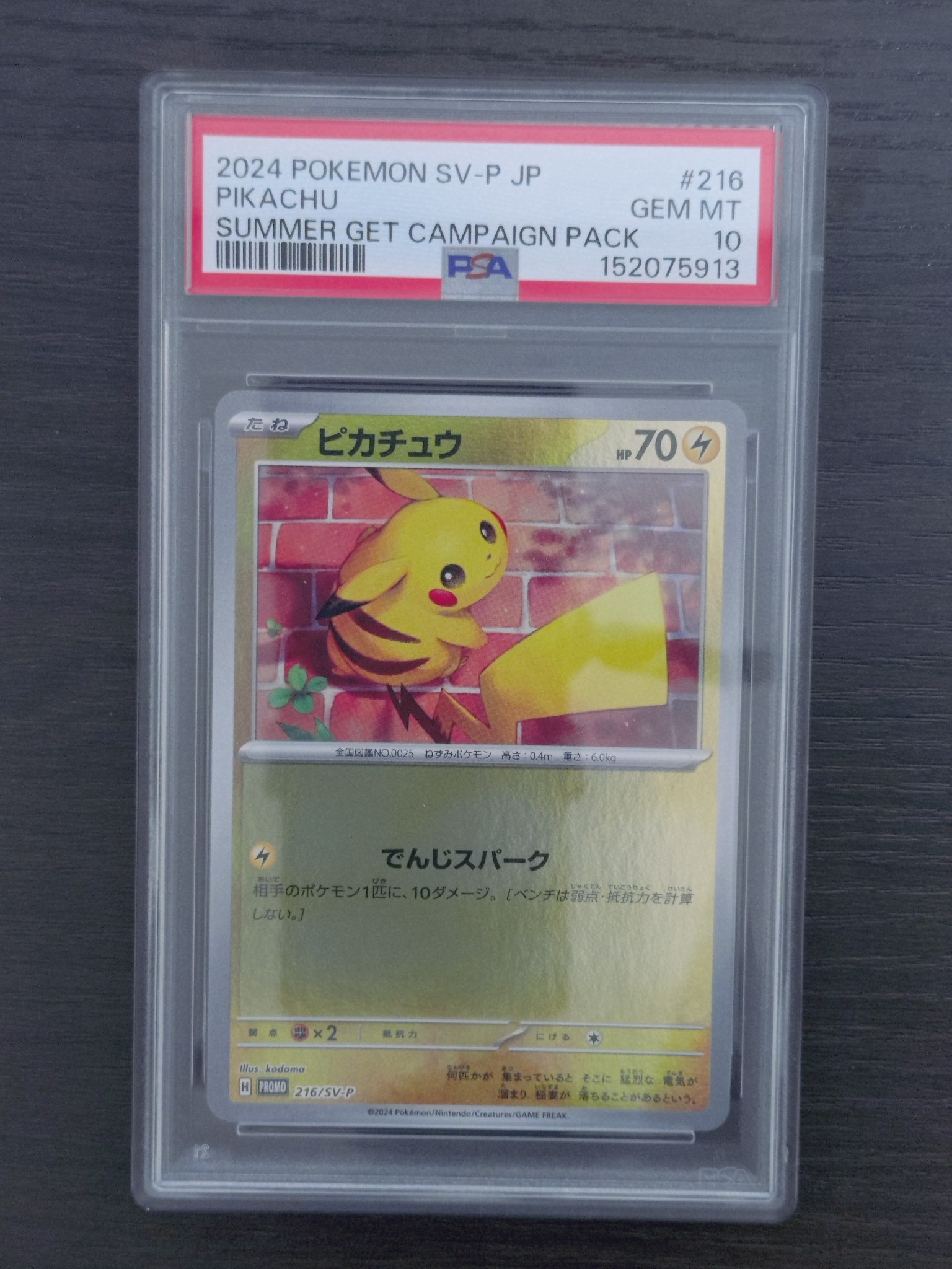 ピカチュウ P [SV-P 216](プロモカードパック「ポケカの夏がキタ!プロモカードGetキャンペーン!」)