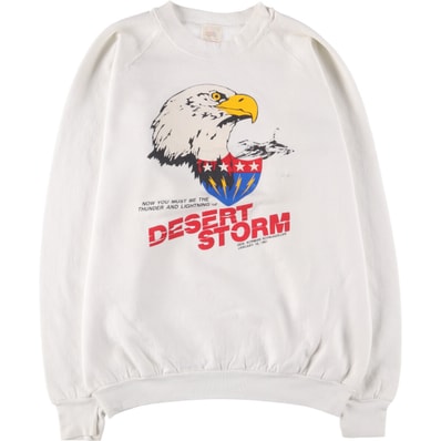古着 90年代 フルーツオブザルーム FRUIT OF THE LOOM 砂漠の嵐作戦 鷲柄 イーグル柄 プリントスウェットシャツ トレーナー USA製 メンズXL相当 ヴィンテージ/eaa550735