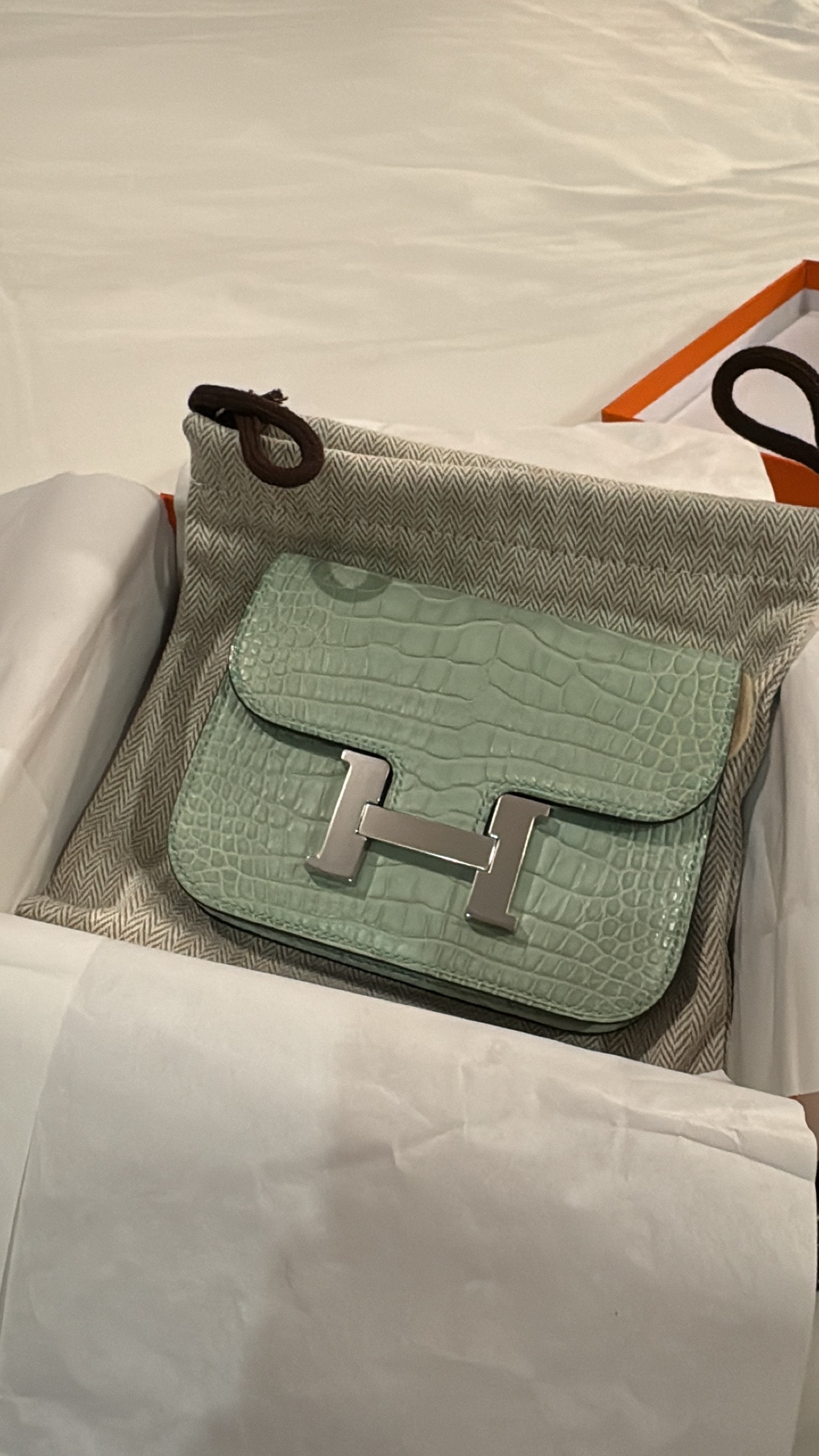 コンスタンススリムアリゲーターシルバー金具