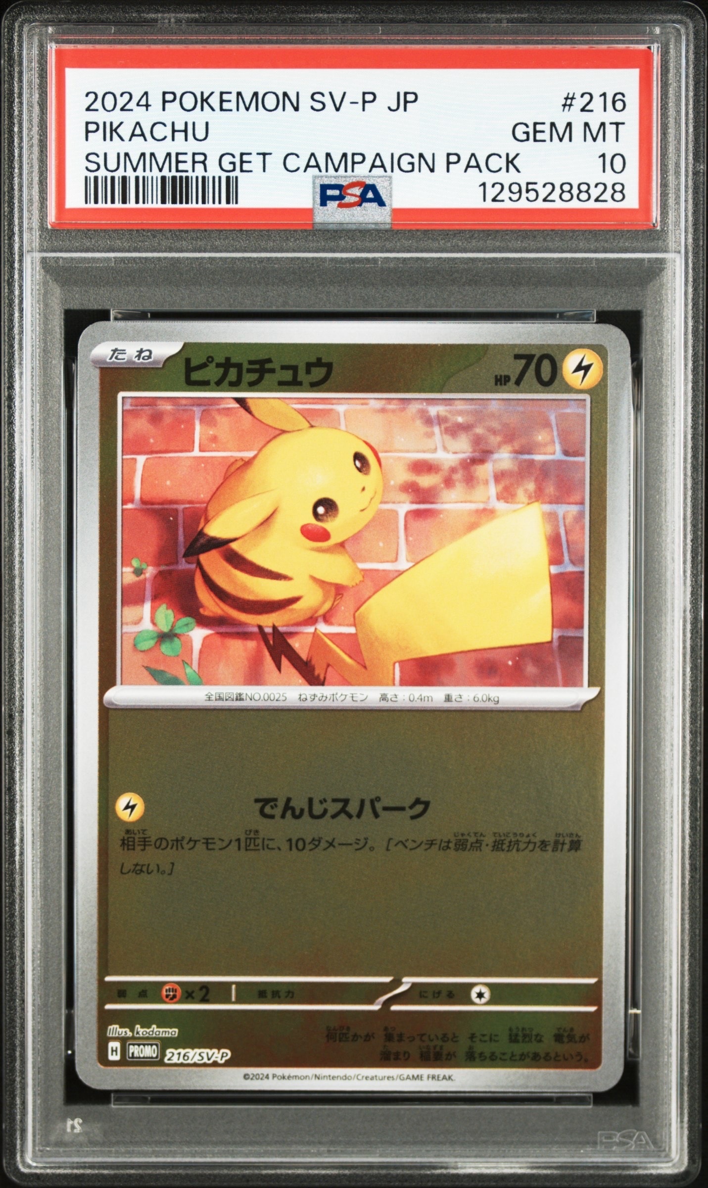 ピカチュウ P [SV-P 216](プロモカードパック「ポケカの夏がキタ!プロモカードGetキャンペーン!」)