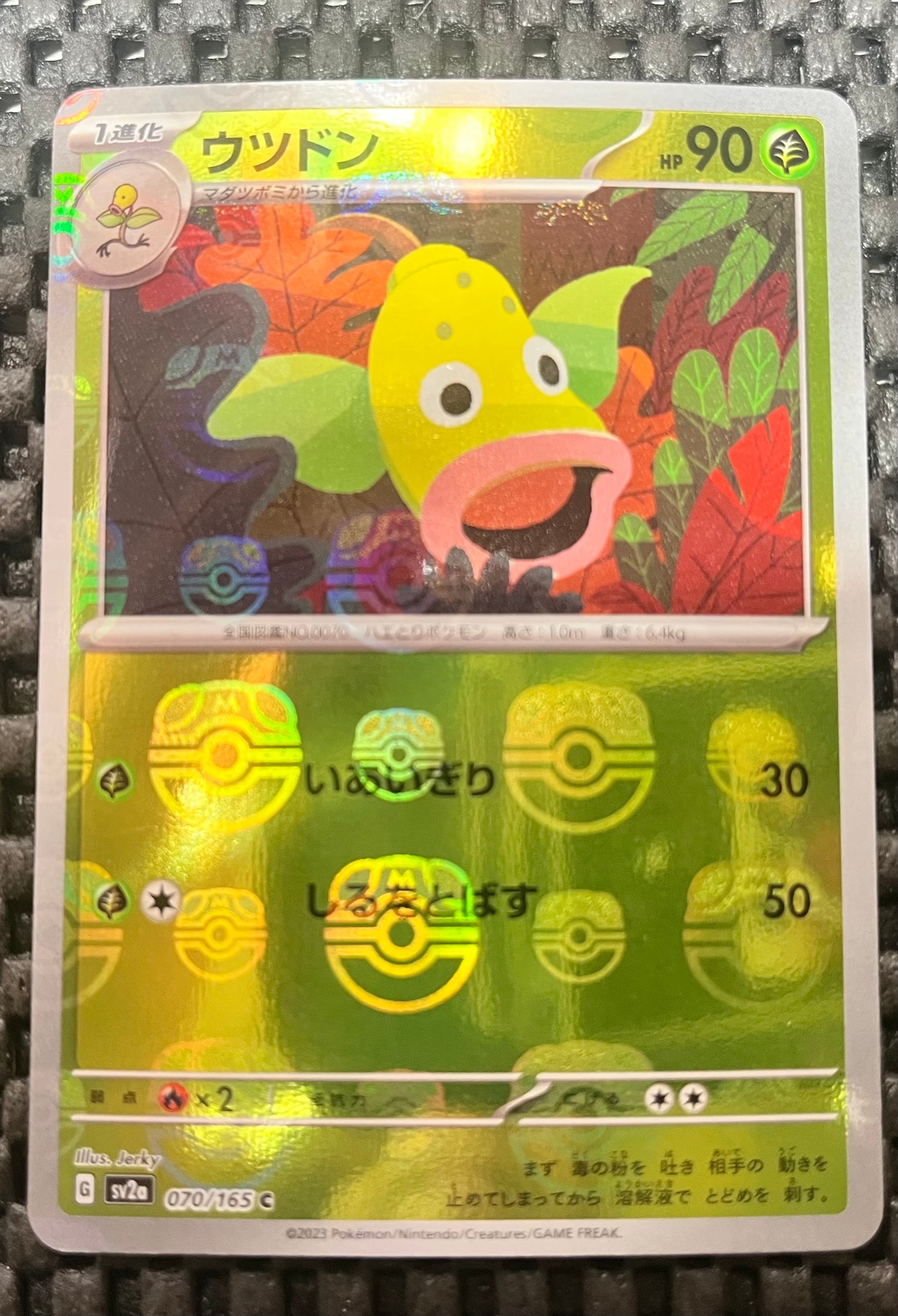 PSA10】レッド&グリーン SR[SM12 108/095](拡張パック「オルター