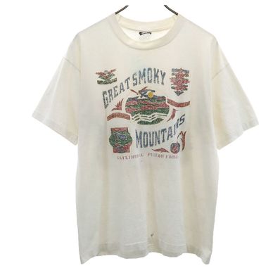 FRUIT OF THE LOOM 90s 半袖 シングルステッチ Tシャツ
