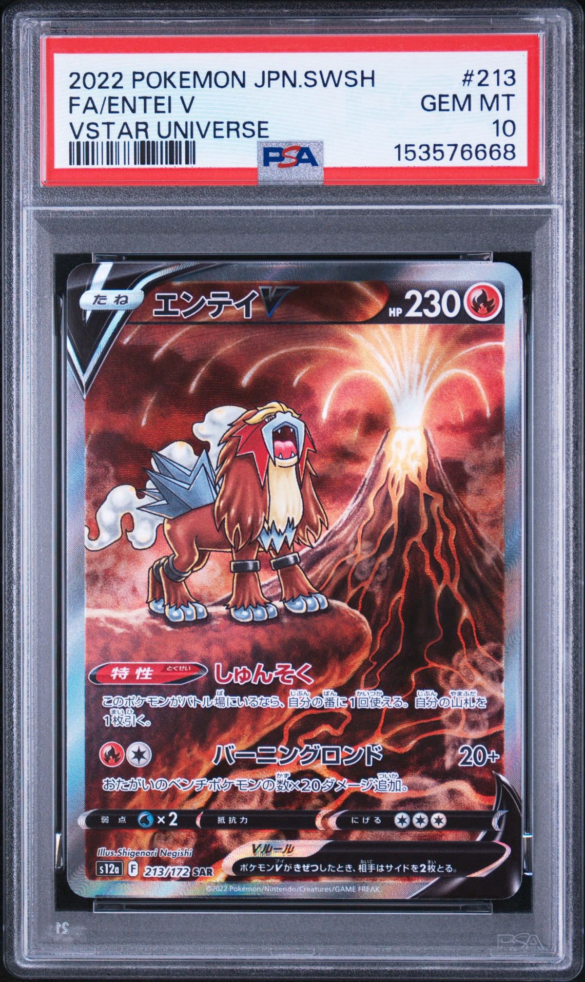 PSA10】エンテイV SAR[s12a 213/172](ハイクラスパック「VSTAR