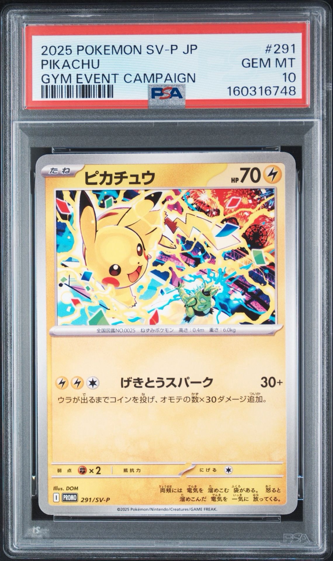ピカチュウ P [SV-P 291](プロモーションカード「SV-P」)通販・買取