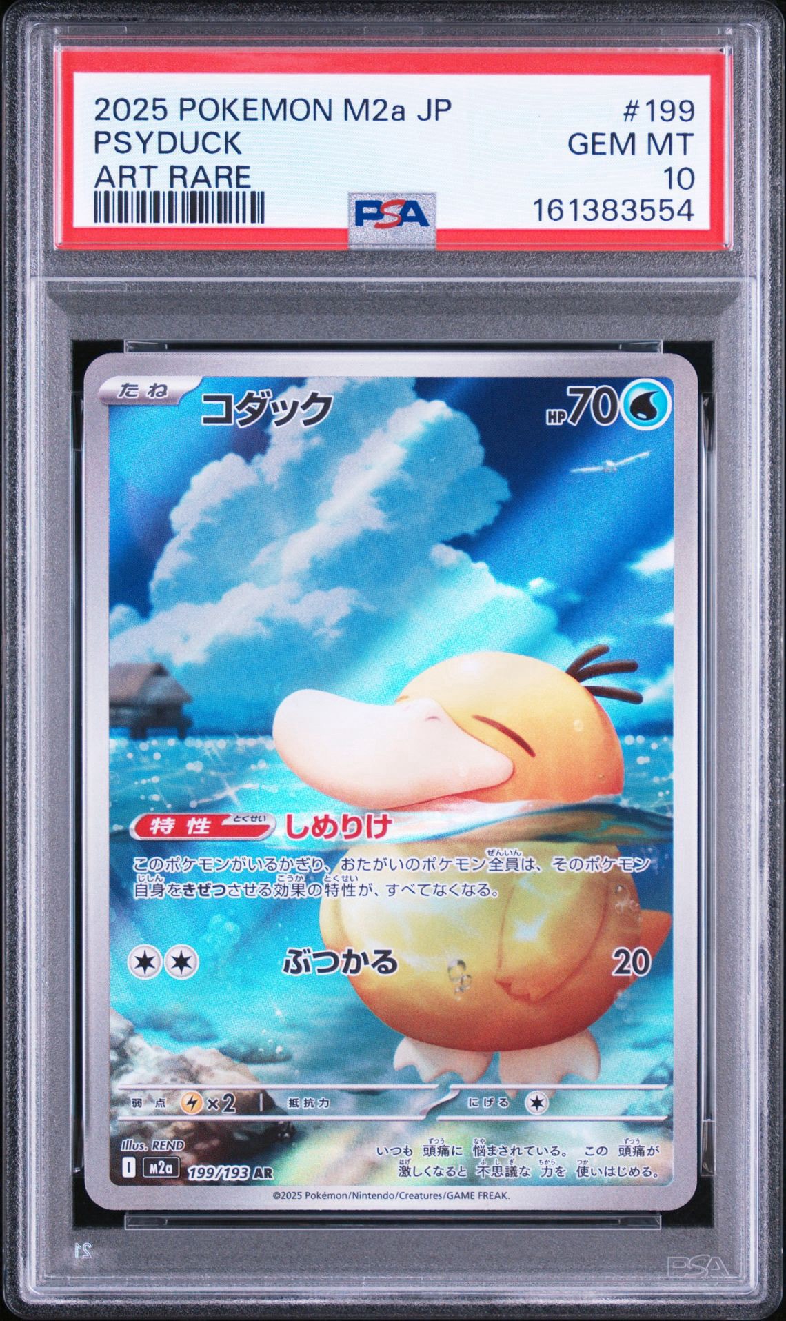 コダック AR [M2a 199/193](ハイクラスパック「MEGAドリームex」)