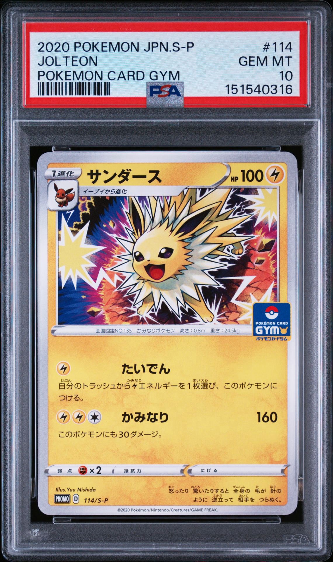 サンダース: プロモ P [S-P 114](ポケモンカードゲーム ソード&シールド 「プロモカードパック 第4弾」)
