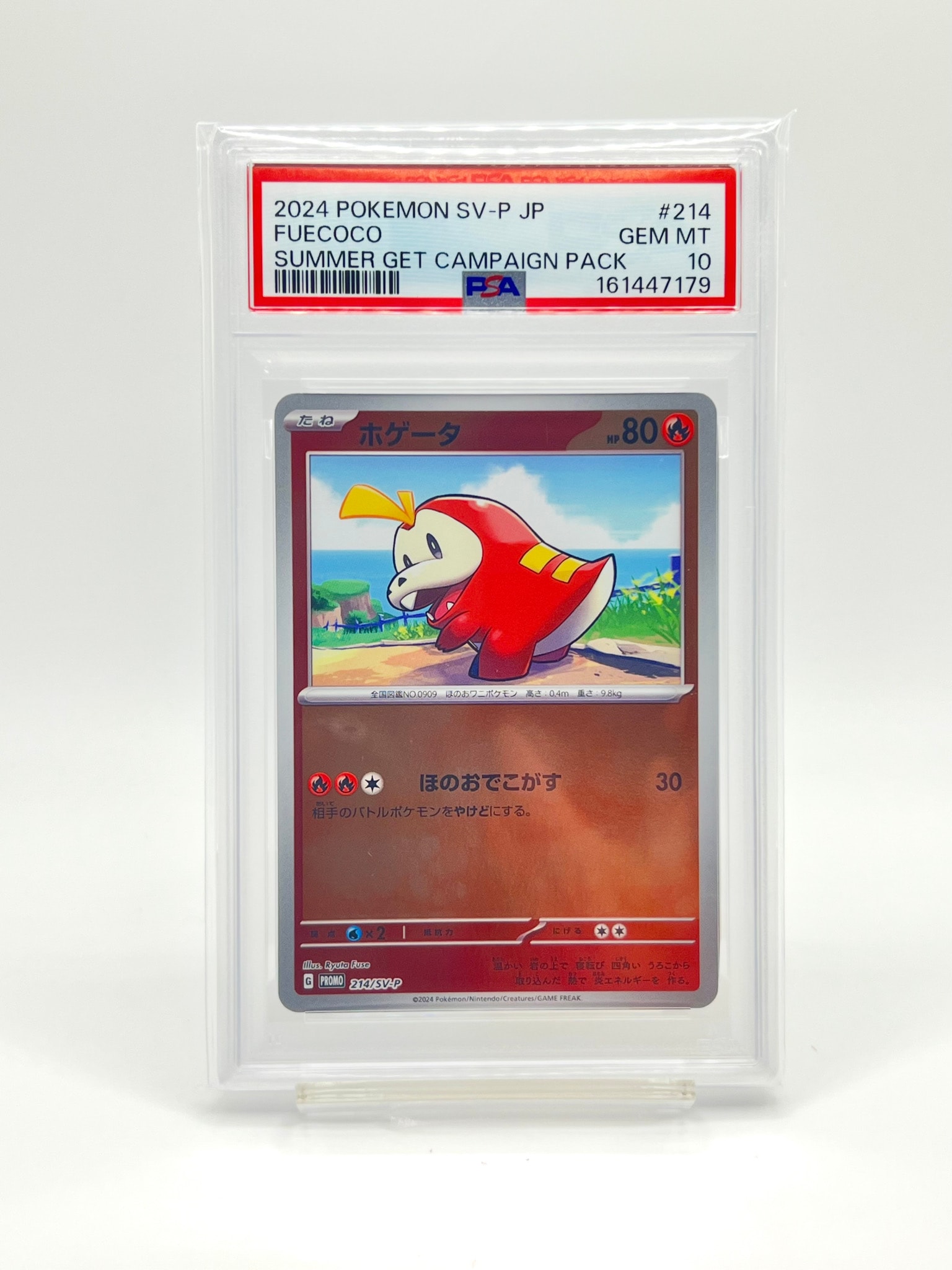 ホゲータ P [SV-P 214](プロモカードパック「ポケカの夏がキタ！プロモ