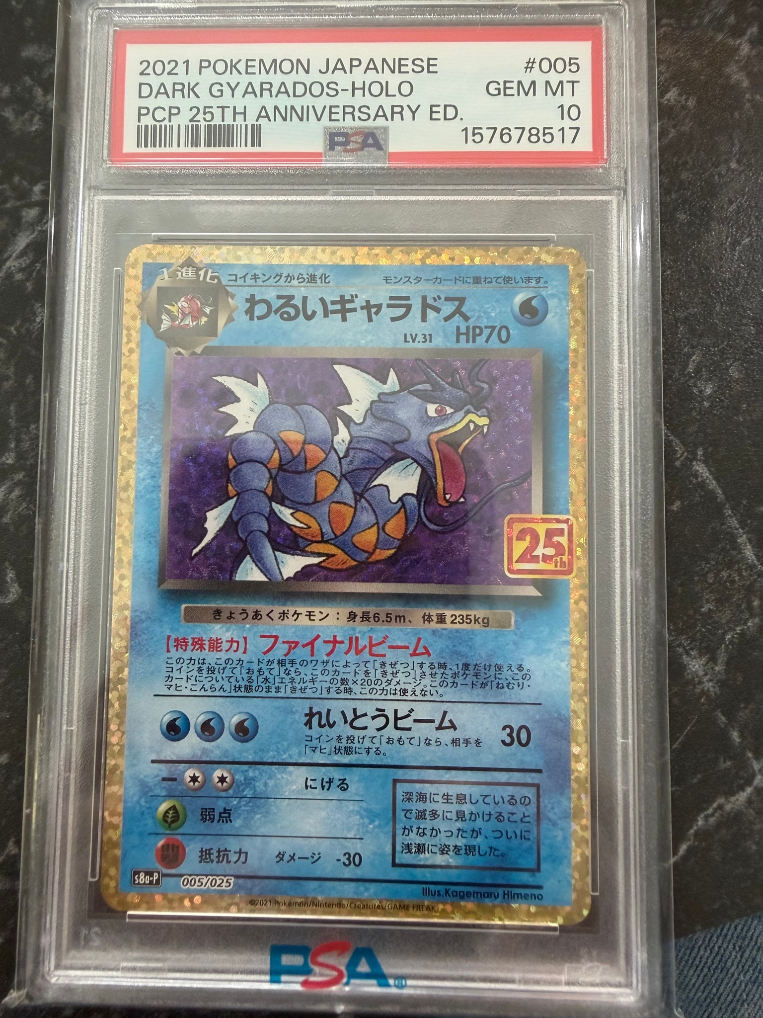 PSA10】ポケモンカード わるいギャラドス 25th プロモ PSA10 わるい