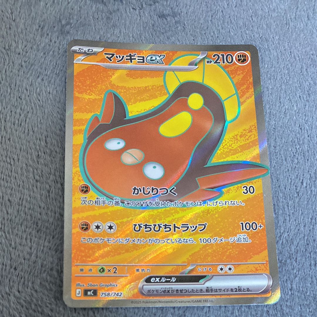 レックウザ [PCG 009/009](ポケパークプレミアムファイル「ブルー