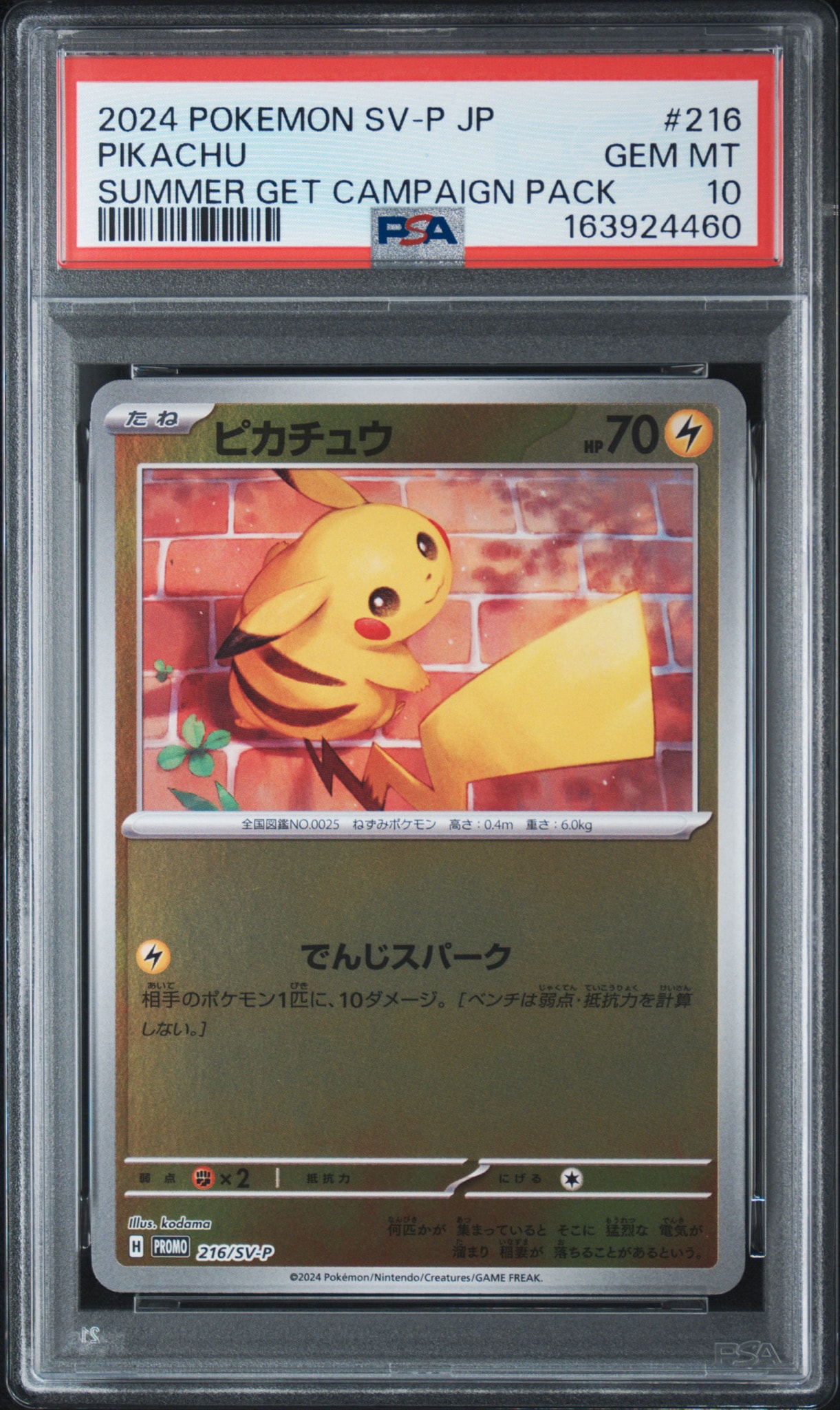 ポケモンカード　ポケカの夏がキタ！プロモカード　ピカチュウ　① ピカチュウ P [SV-P 216](プロモカードパック「ポケカの夏がキタ