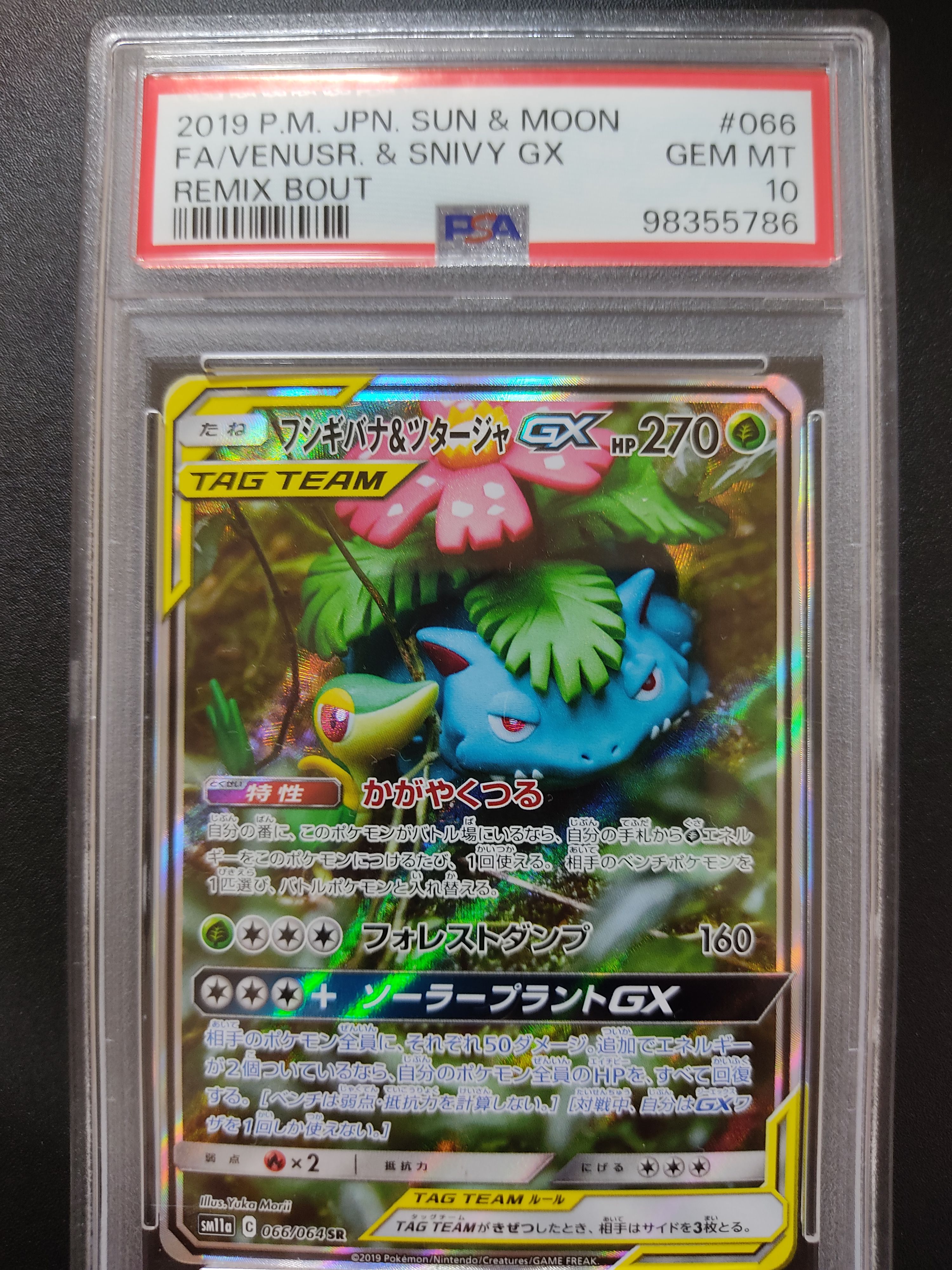 フシギバナ&ツタージャGX SR: SA[SM11a 066/064](強化拡張パック「リミックスバウト」)
