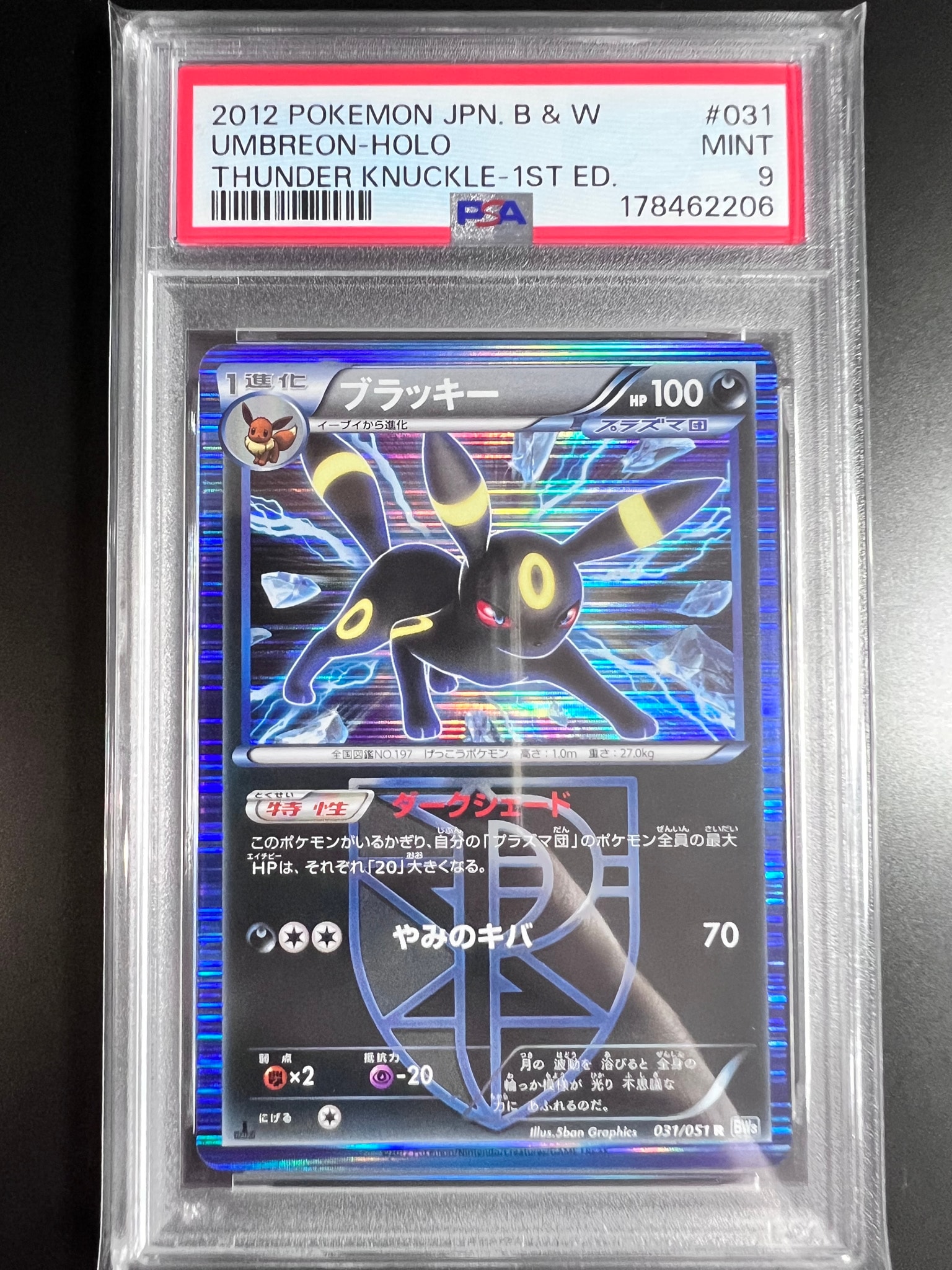 ブラッキー R :1ED [BW8 031/051](拡張パック「ライデンナックル