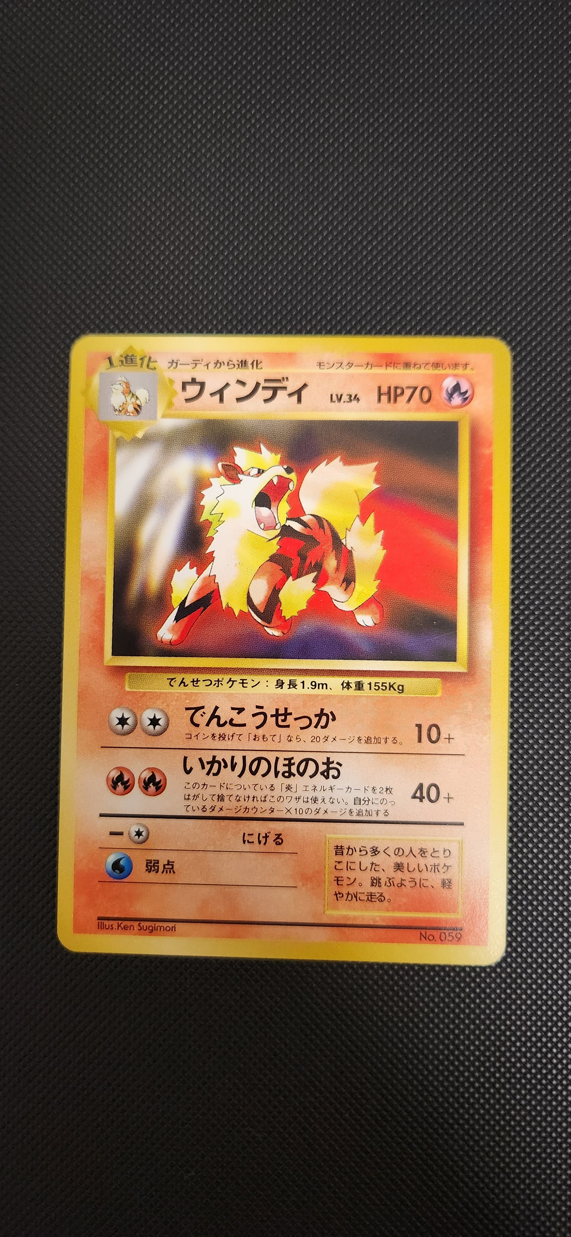 ウィンディ P : 旧裏 [PMCG-P No.059](プロモーションカード「トヨタオートキャンペーン」)