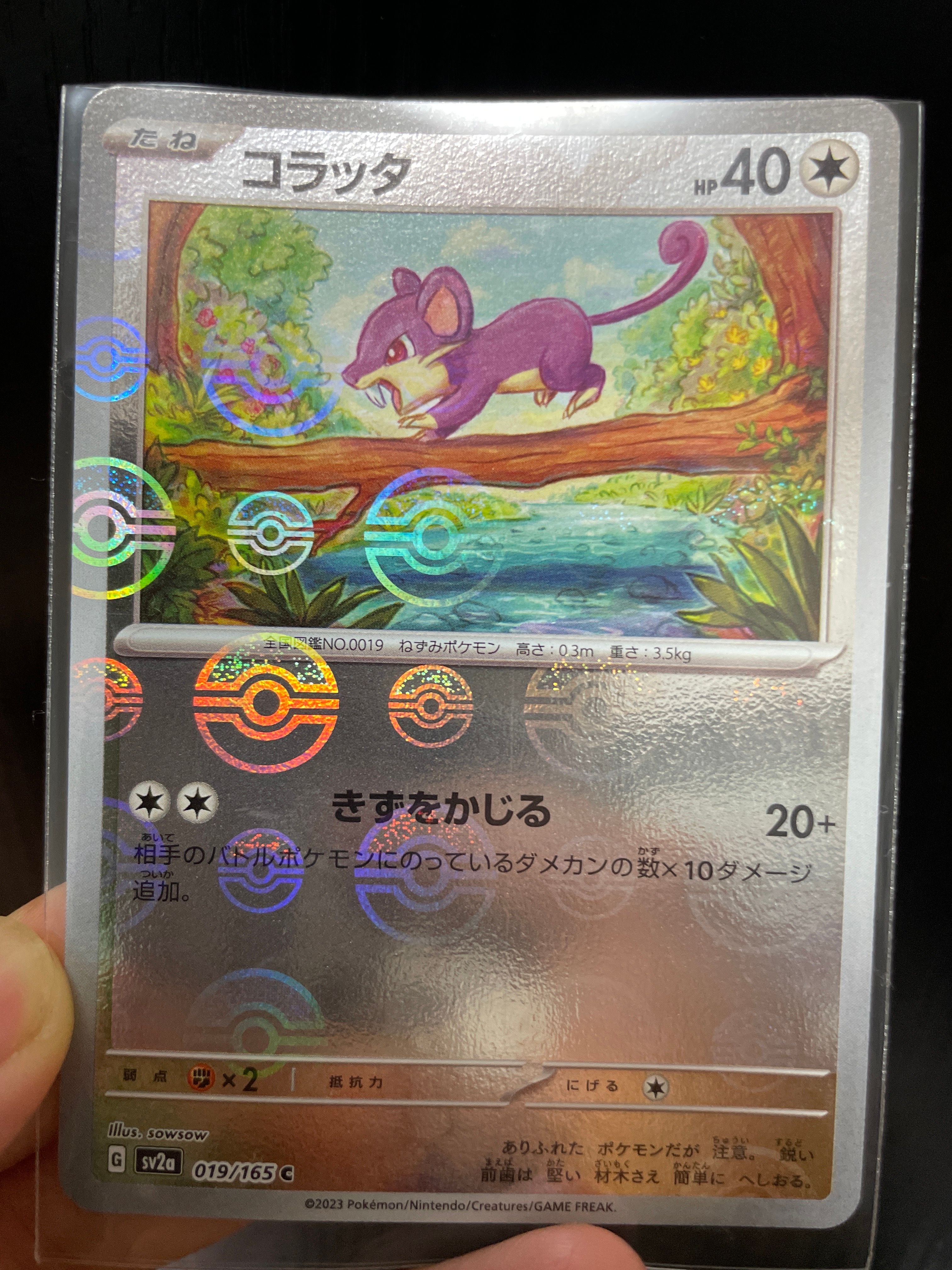コラッタ C: モンスターボールミラー[SV2a 019/165](強化拡張パック「ポケモンカード151」)
