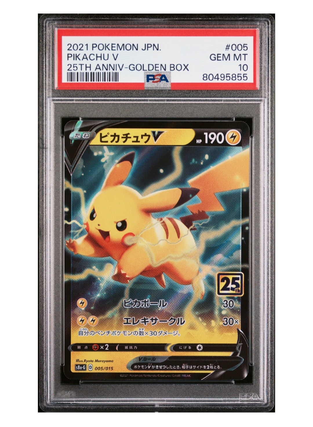PSA10】エンテイV SAR[s12a 213/172](ハイクラスパック「VSTAR