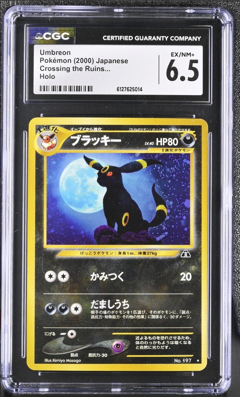 ゲンシカイオーガEX UR :1ED [XY7 093/081](拡張パック「バンデット