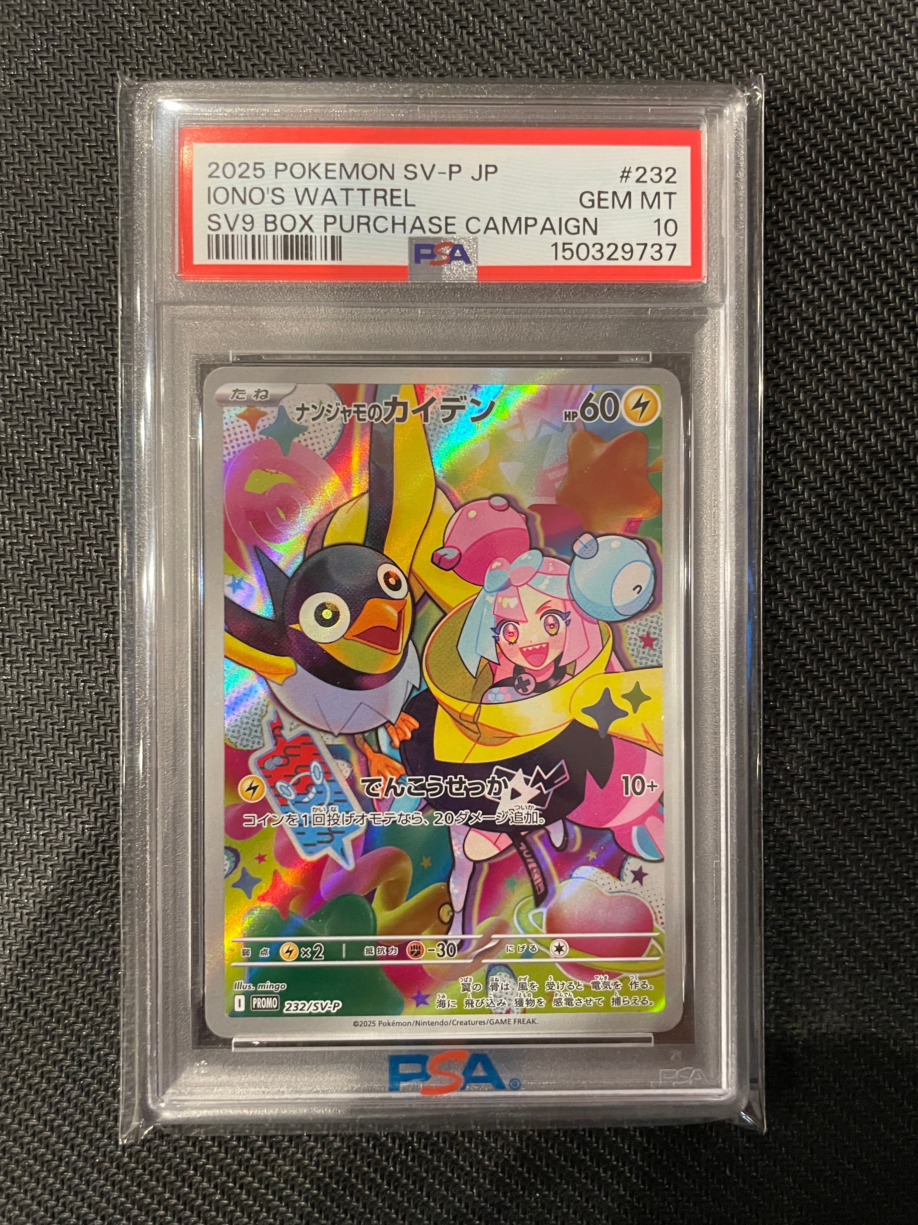 ナンジャモのカイデン P [SV-P 232](プロモーションカード「拡張パック バトルパートナーズ Box購入キャンペーン」)