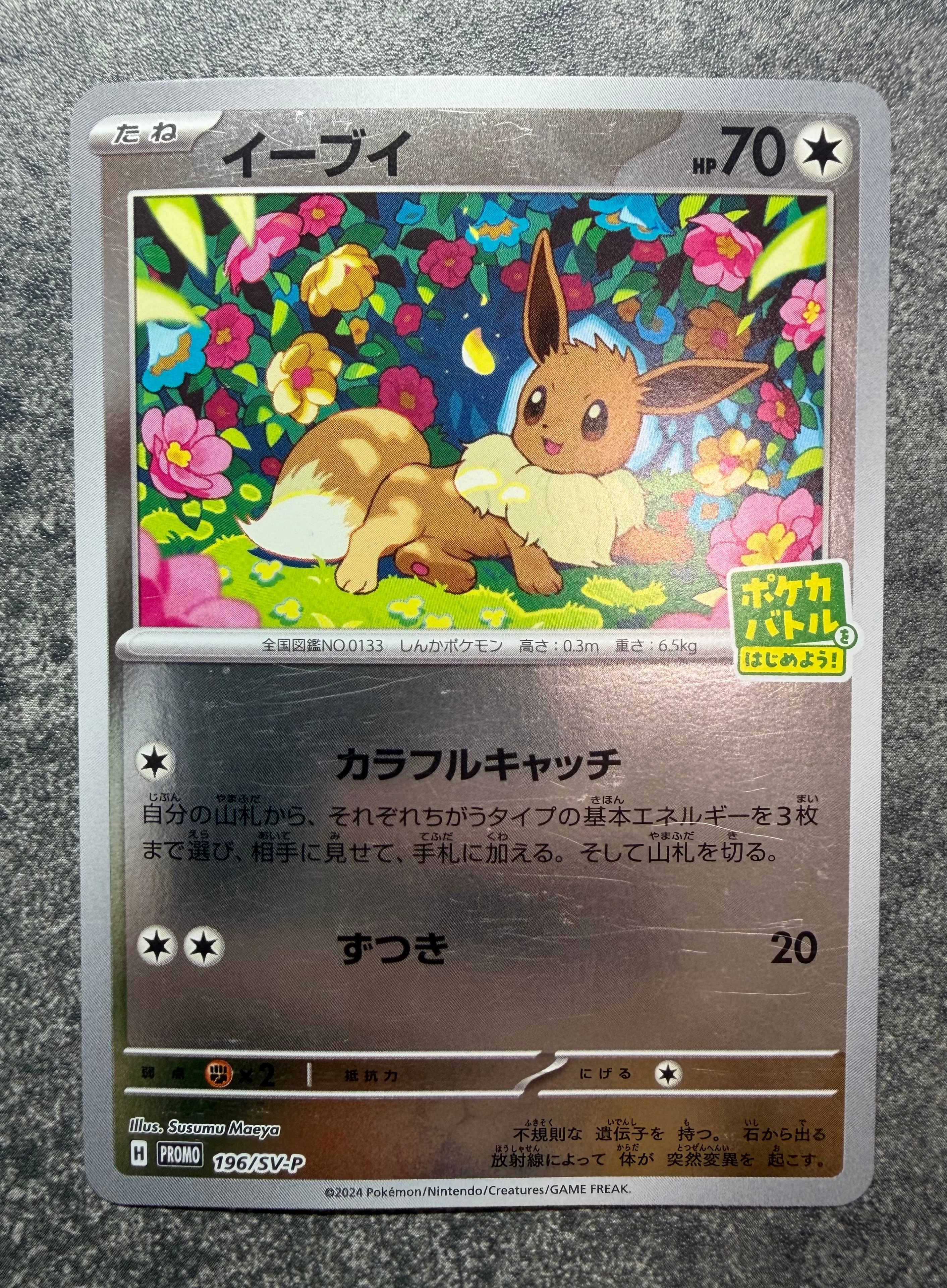 イーブイ P [SV-P-SM 196](プロモカードパック「ポケカバトルをはじめよう!キャンペーン」)