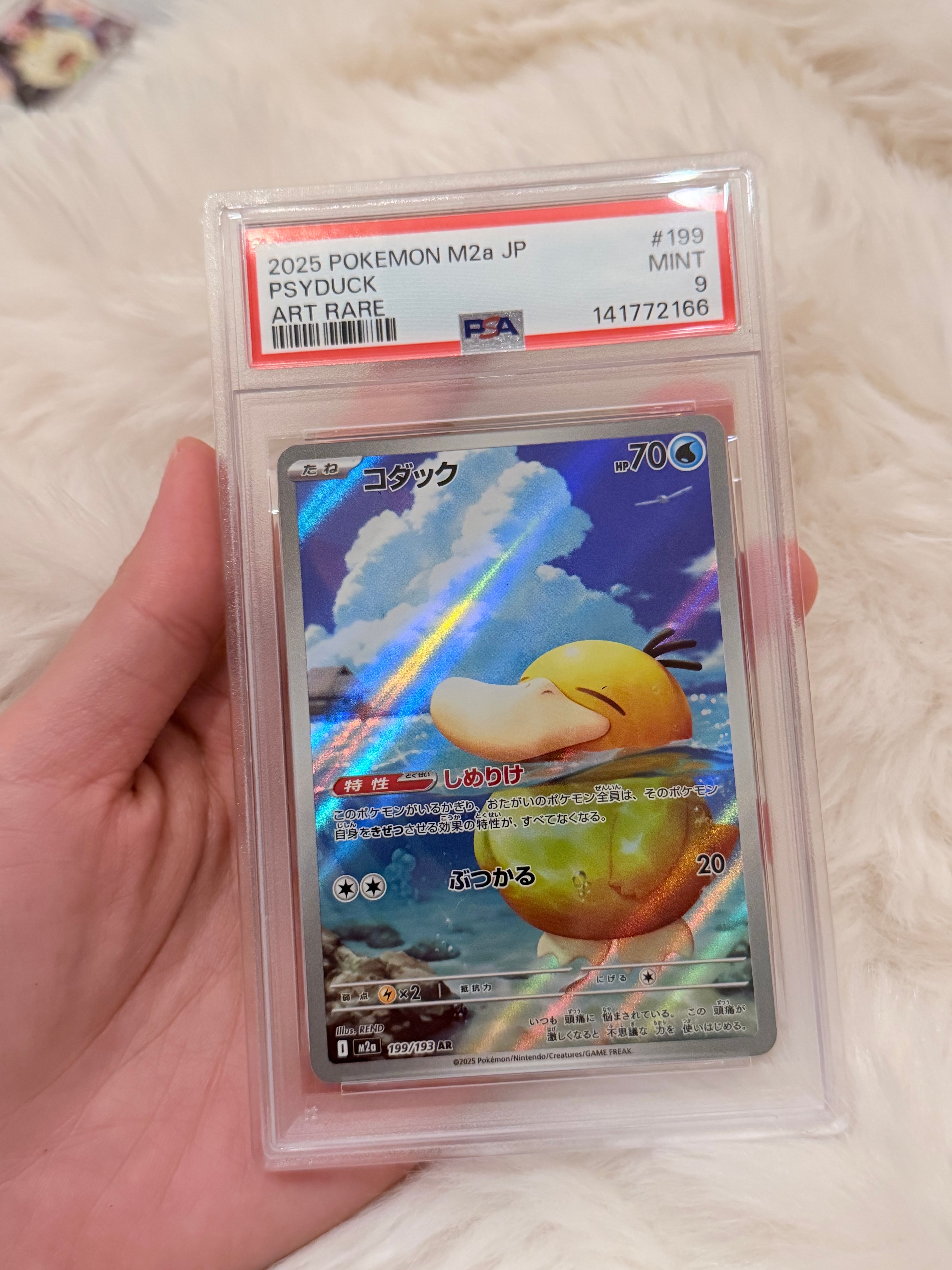 コダック AR [M2a 199/193](ハイクラスパック「MEGAドリームex」)