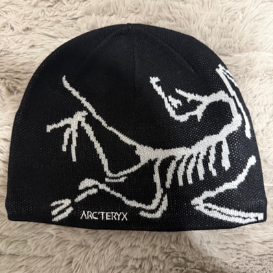 ARC'TERYX Bird Head Toque "Orca"