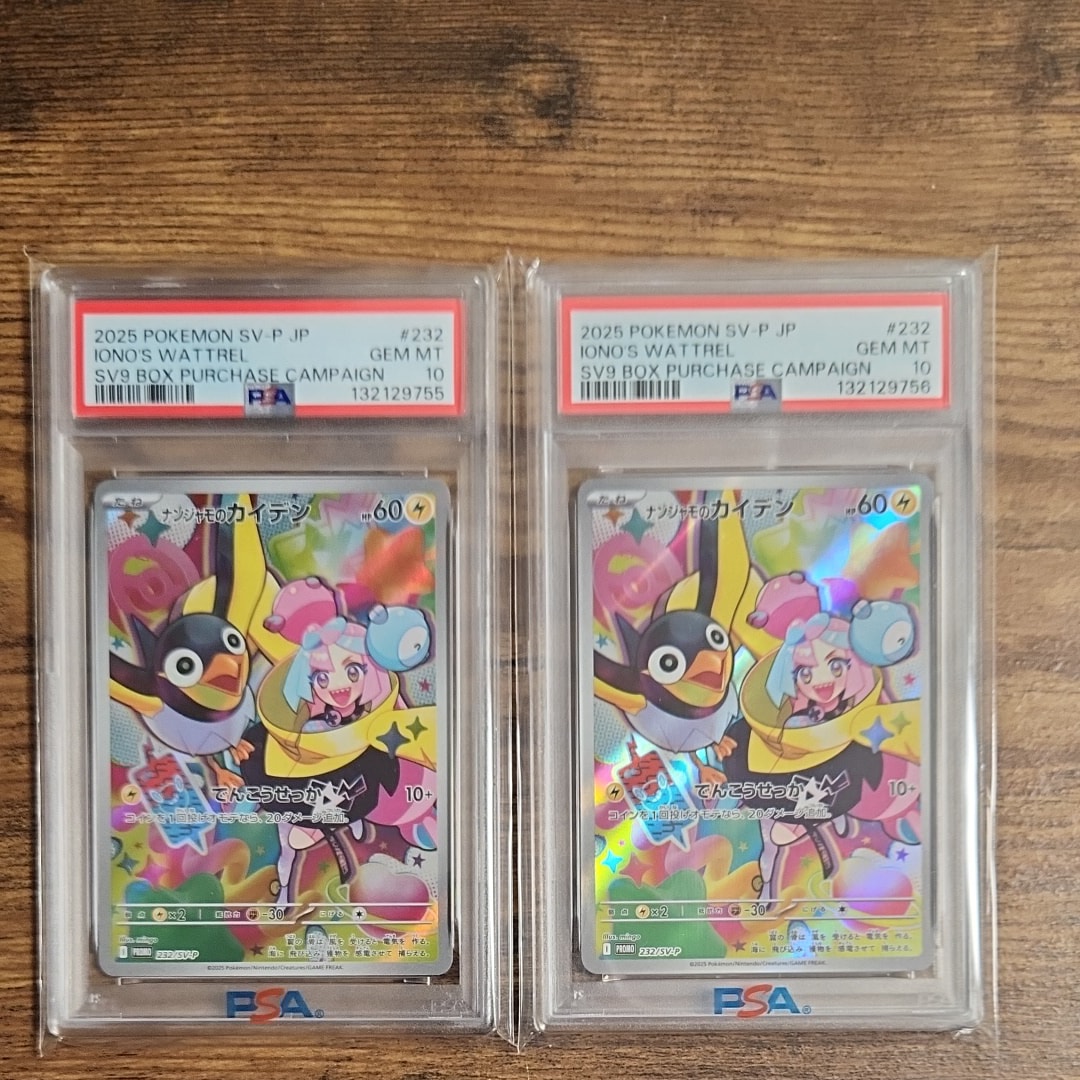 ナンジャモのカイデン P [SV-P 232](プロモーションカード「拡張パック バトルパートナーズ Box購入キャンペーン」)