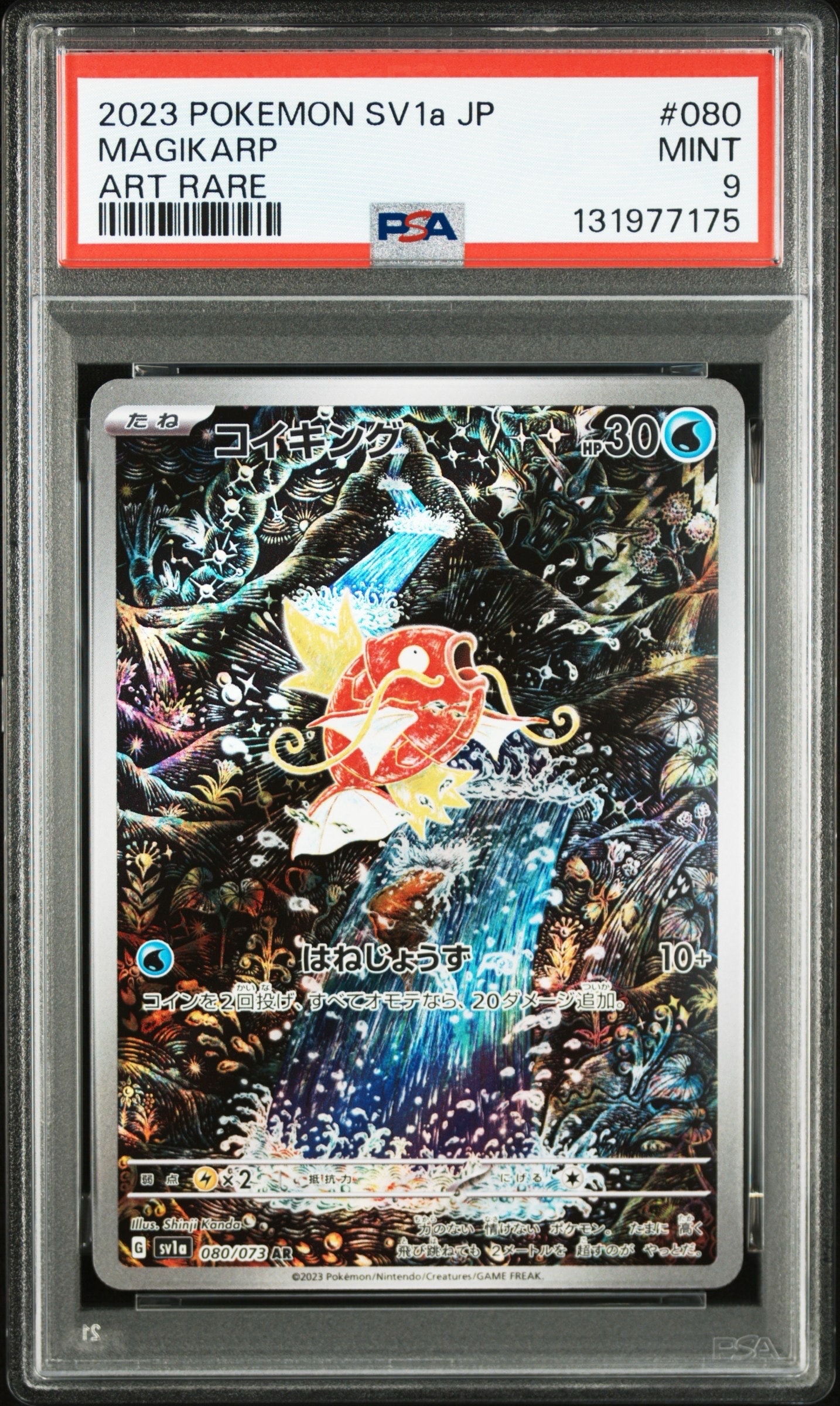 コイキング AR[SV1a 080/073](スカーレット&バイオレット 拡張パック「トリプレットビート」)