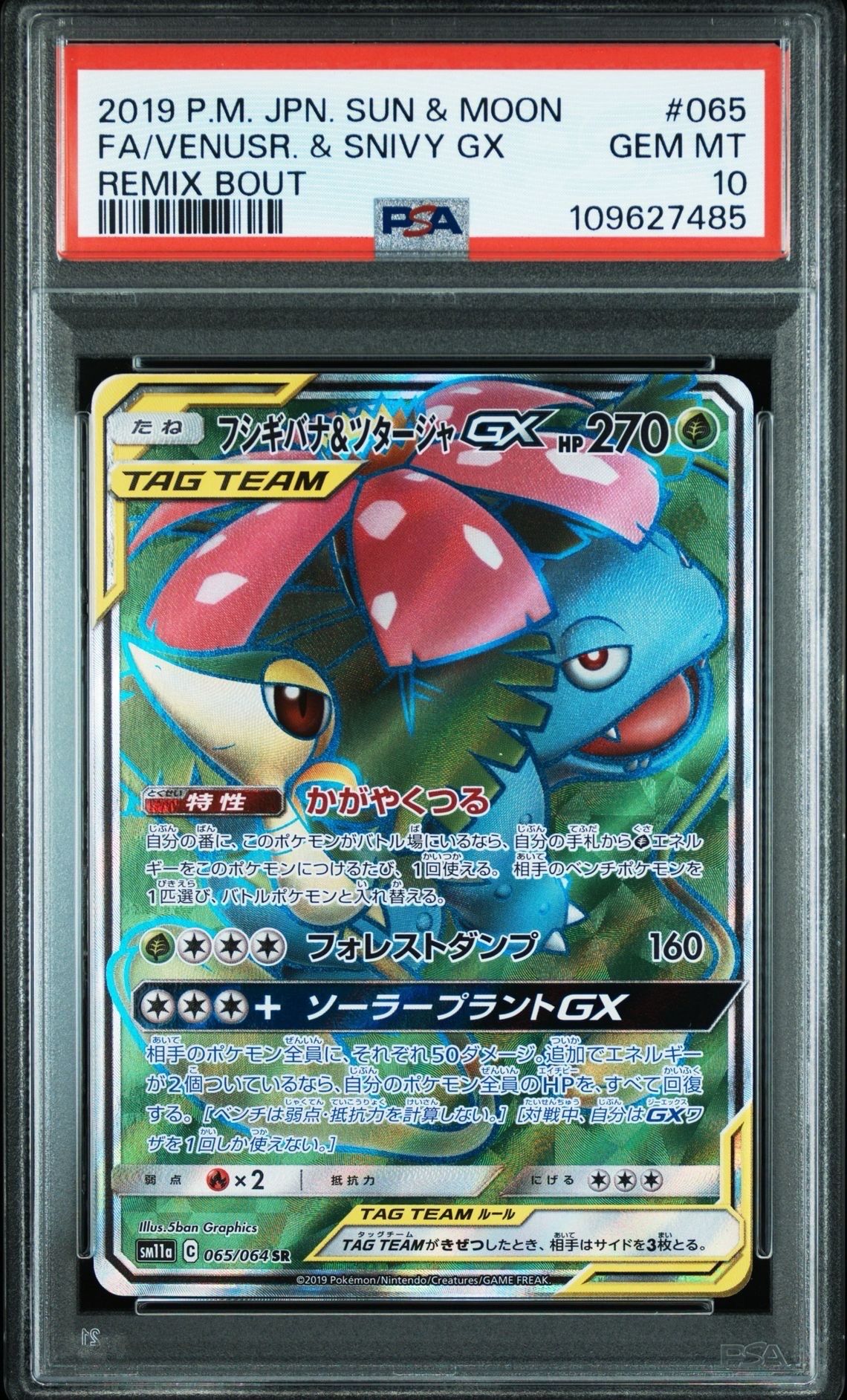 フシギバナ&ツタージャGX SR[SM11a 065/064](強化拡張パック「リミックスバウト」)