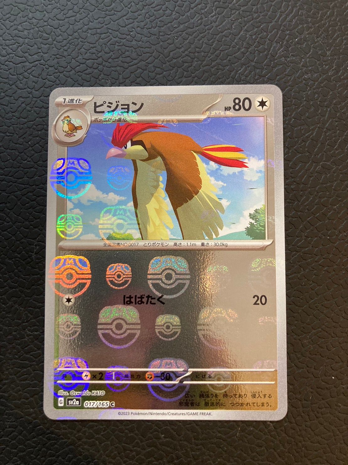 ピジョン C: マスターボールミラー[SV2a 017/165](強化拡張パック「ポケモンカード151」)