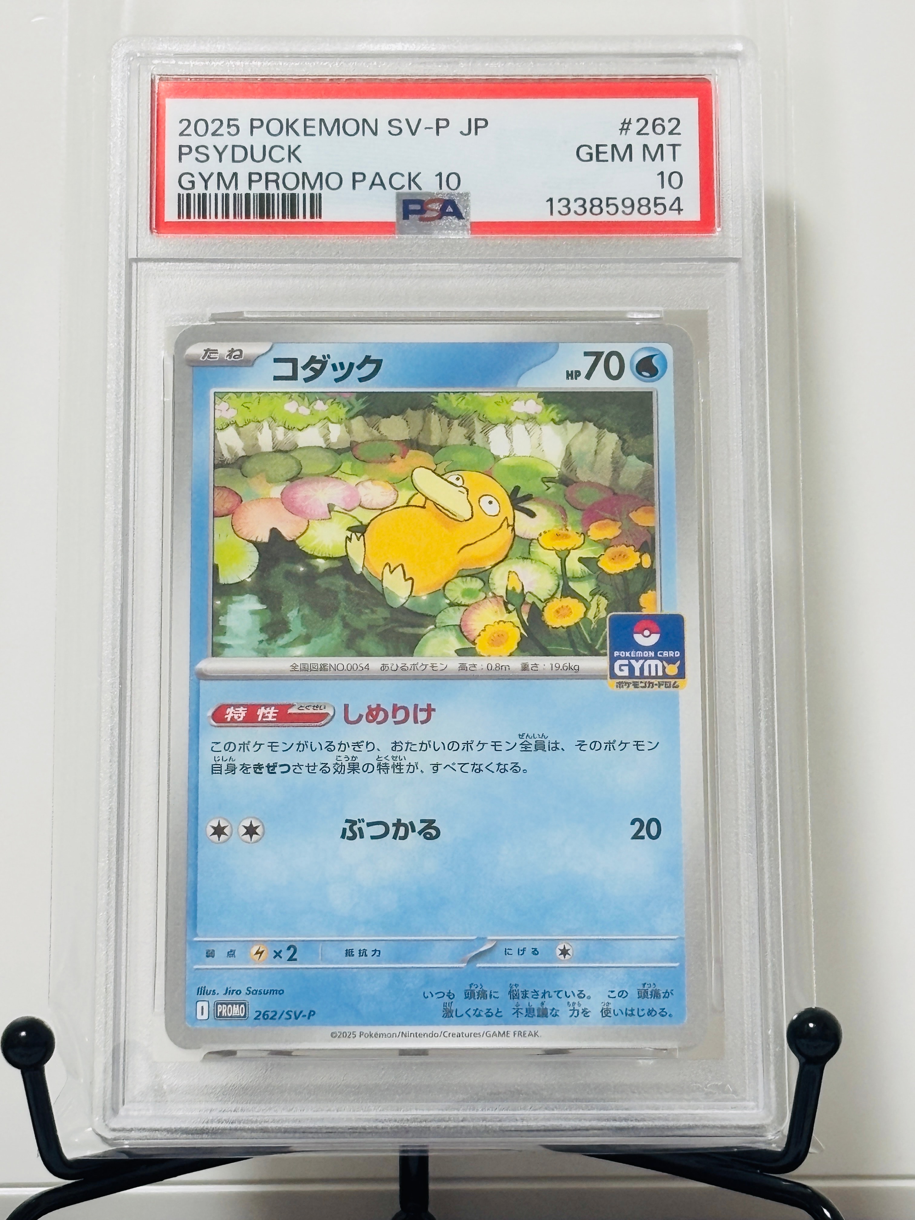 コダック P [SV-P 262](プロモカードパック「第10弾」)