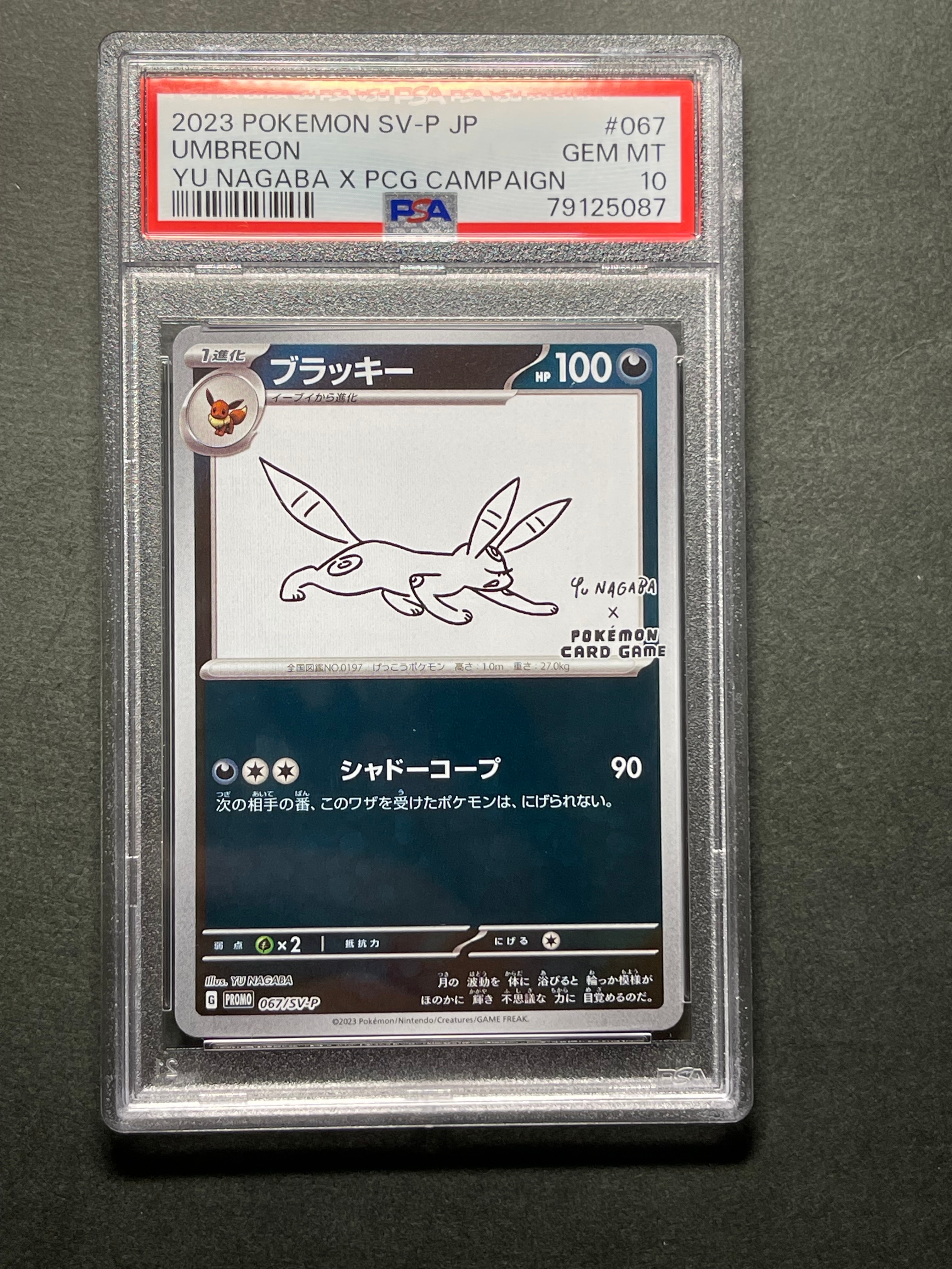 ブラッキー: プロモ (ナガバブラッキー) [SV-P 067](「YU NAGABA×ポケモンカードゲーム」プロモーションカード「SV-P」)