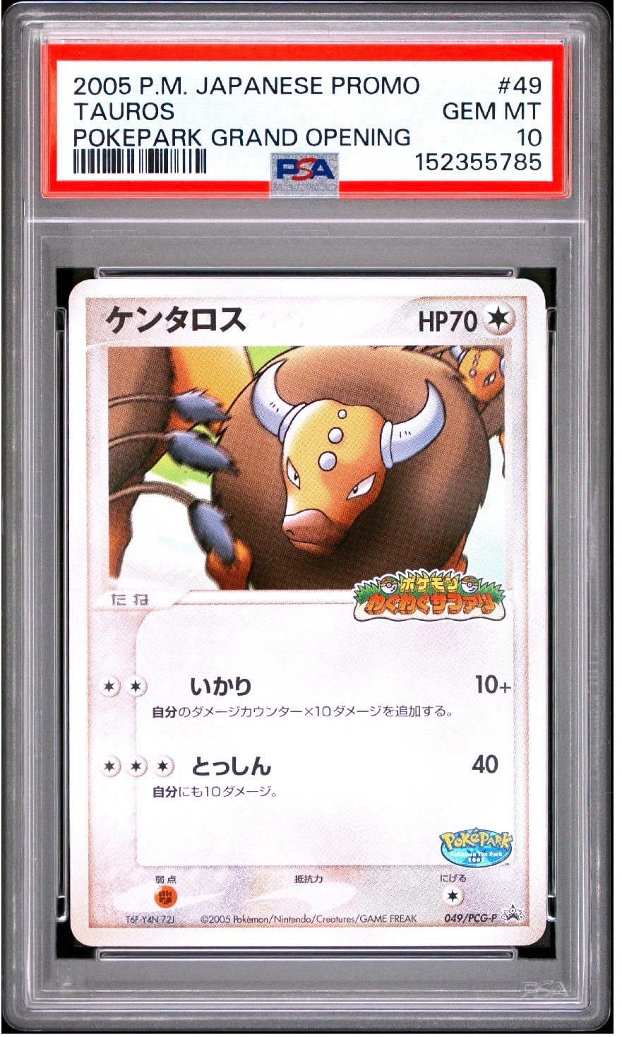 状態A】ケンタロス P [PCG-P 049](プロモーションカード「ポケパーク