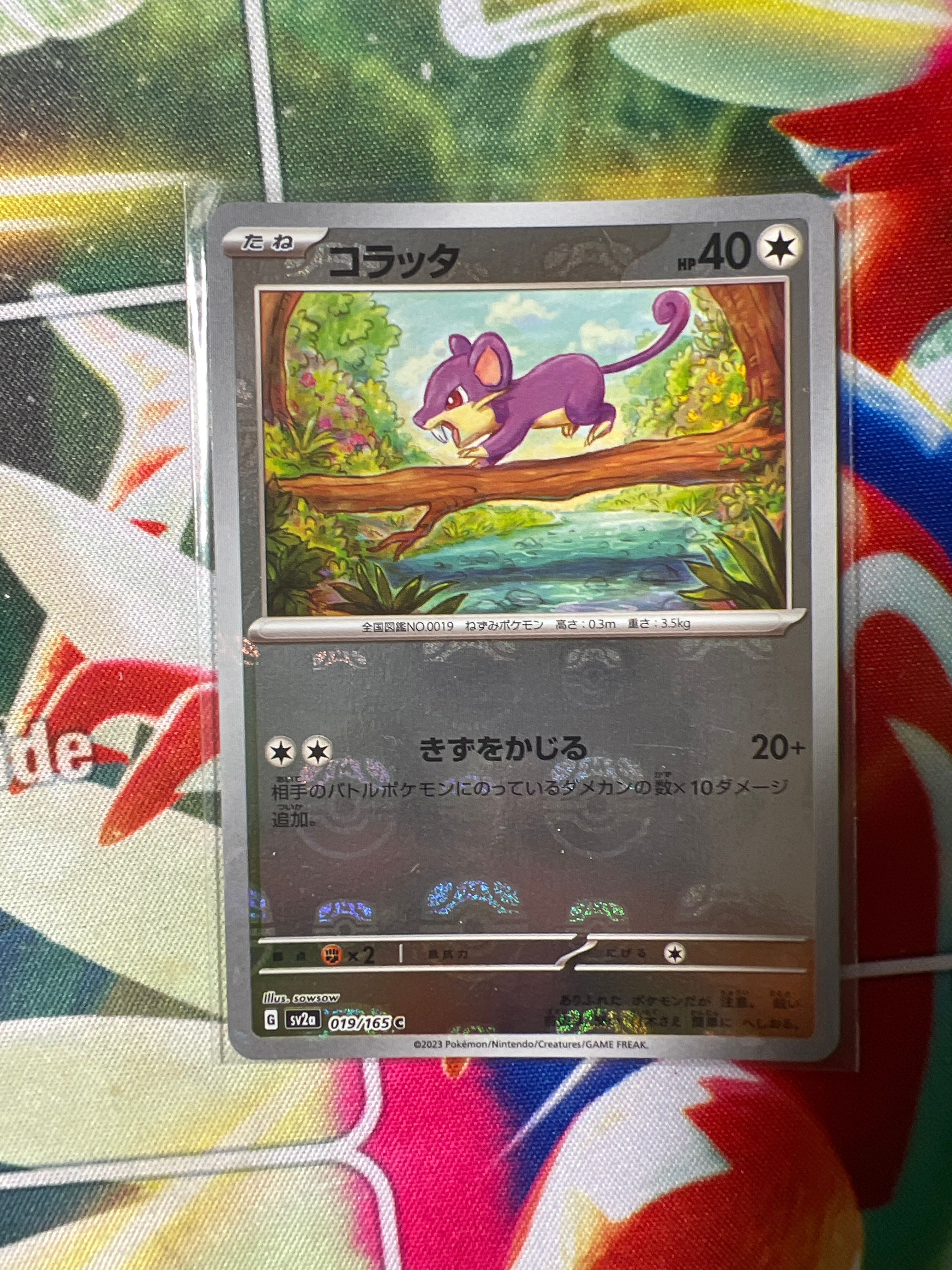 コラッタ C: マスターボールミラー[SV2a 019/165](強化拡張パック「ポケモンカード151」)