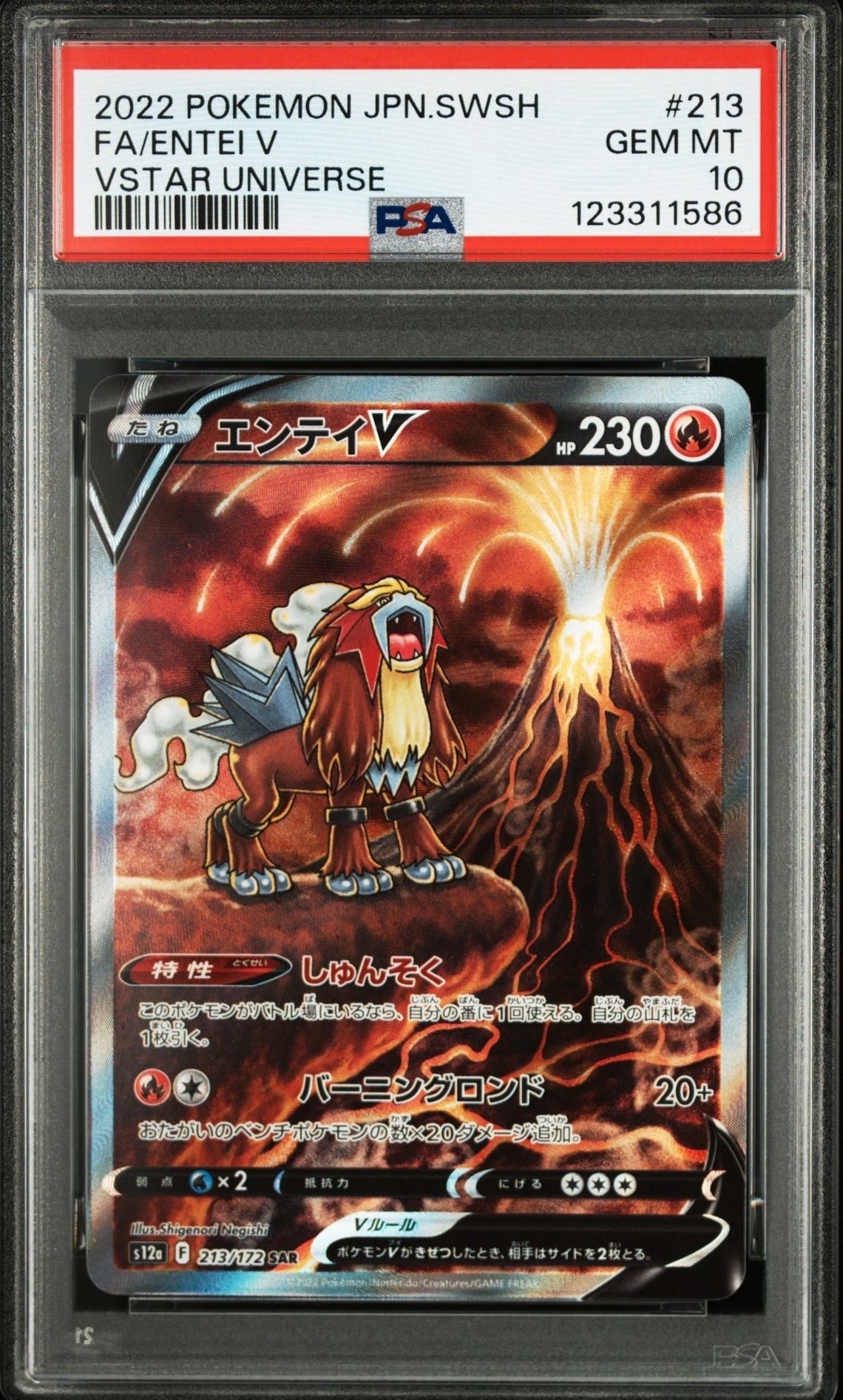 エンテイV SAR[s12a 213/172](ハイクラスパック「VSTARユニバース」)