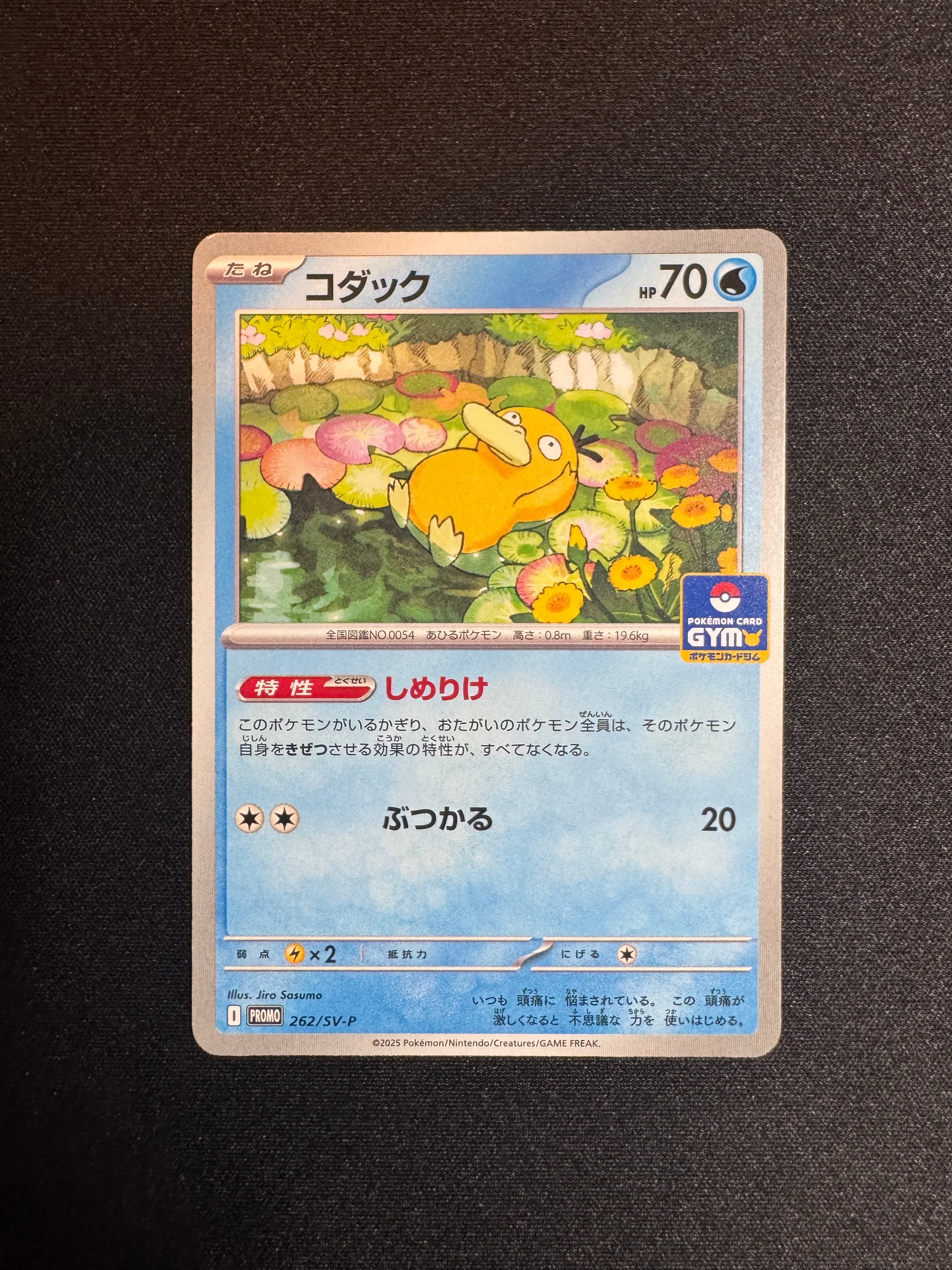 状態C】コダック P [SV-P 262](プロモカードパック「第10弾」) 1枚の