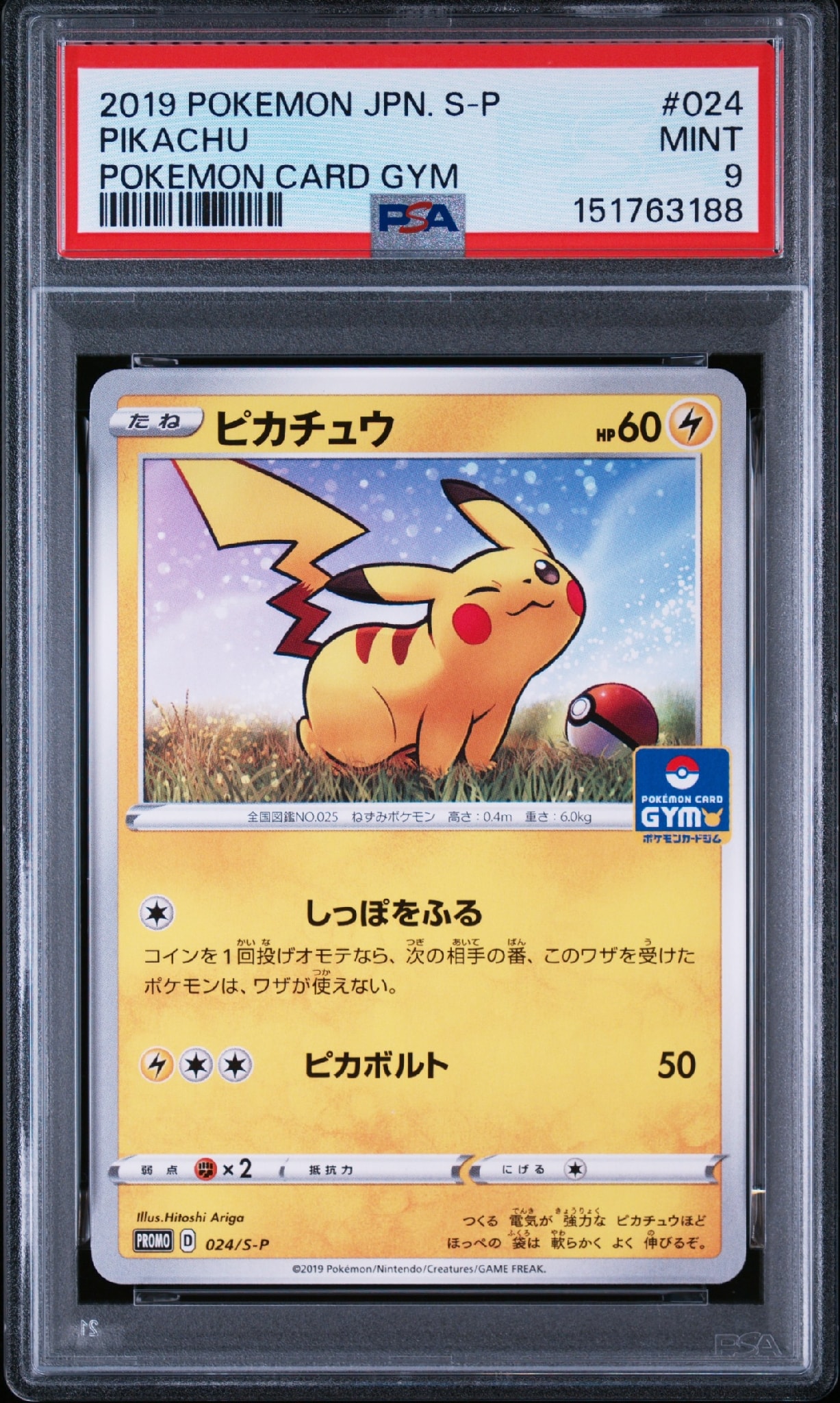 ピカチュウ: プロモ P [S-P 024](ポケモンカードゲーム ソード