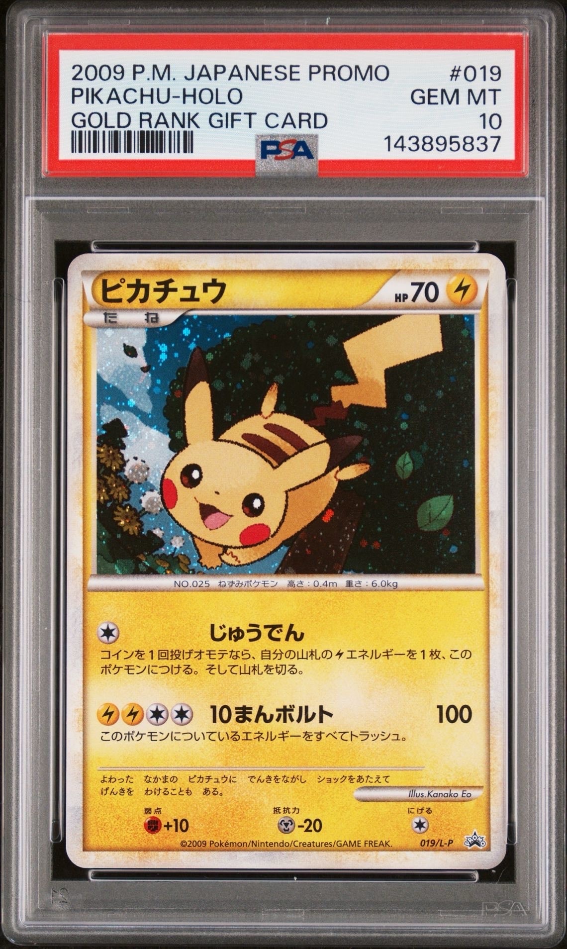 ピカチュウ: プロモ[L-P 019/L-P](プロモーションカード「L-P」)の新品