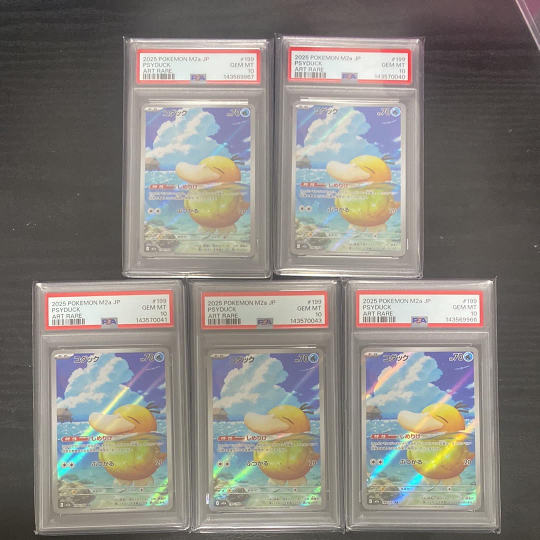 【PSA10】ワンパチ:プロモ [S-P 244] PSA10鑑定済〕ワンパチ【P】{244/S-P}