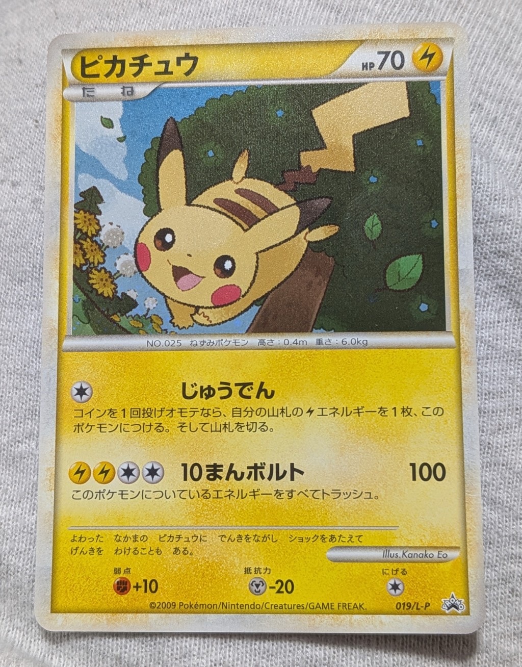 ピカチュウ PROMO DPt-Pプロモカード 019 ピカチュウ: プロモ[L-P 019/L-P](プロモーションカード「L-P」)の新品