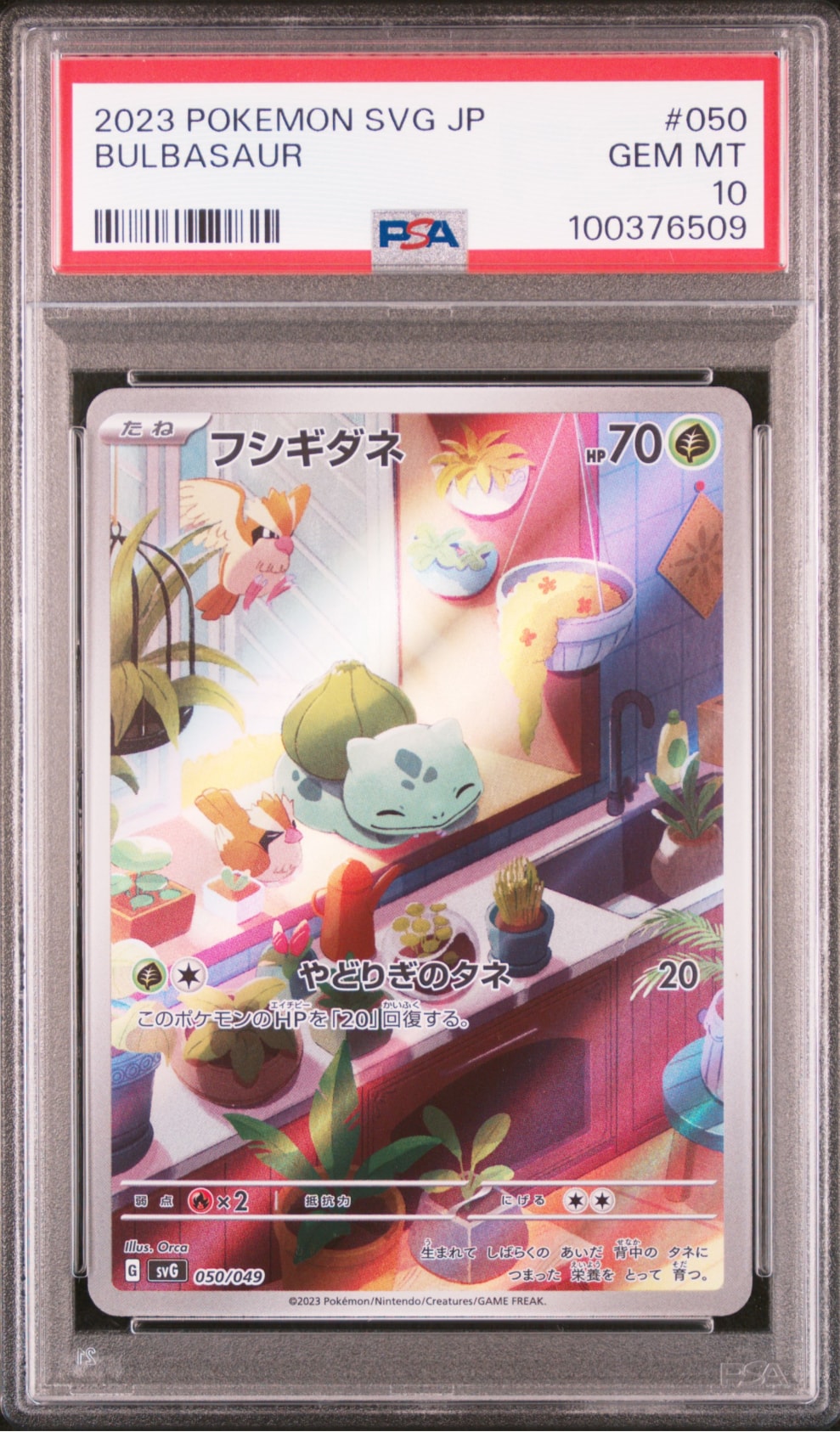 フシギダネ :フルイラスト [SVG 050/049](スペシャルデッキセットex「フシギバナ・リザードン・カメックス」)