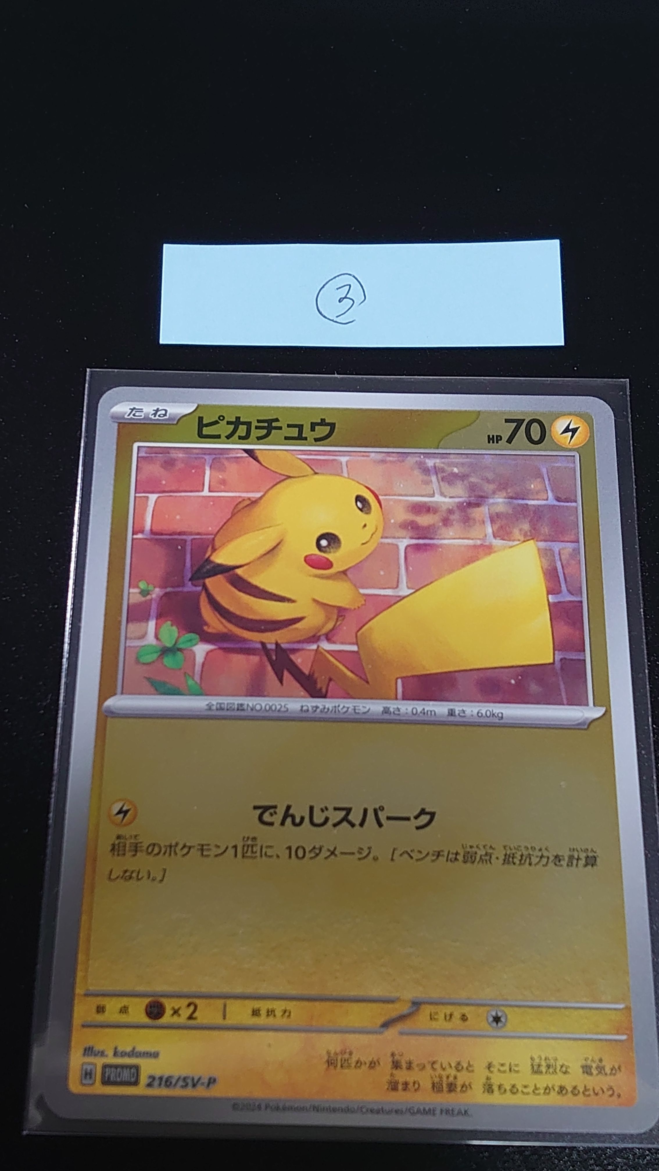 ピカチュウ P [SV-P 216](プロモカードパック「ポケカの夏がキタ!プロモカードGetキャンペーン!」)