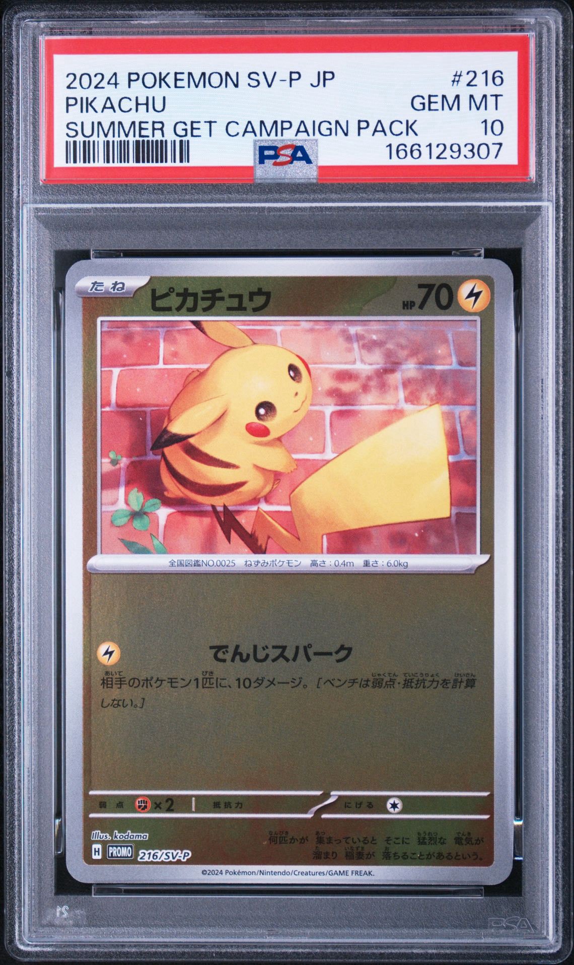 h*e様 ピカチュウ：ポケカの夏がキタ！プロモカードGetキャンペーン！ PRO ピカチュウ P [SV-P 216](プロモカードパック「ポケカの夏がキタ
